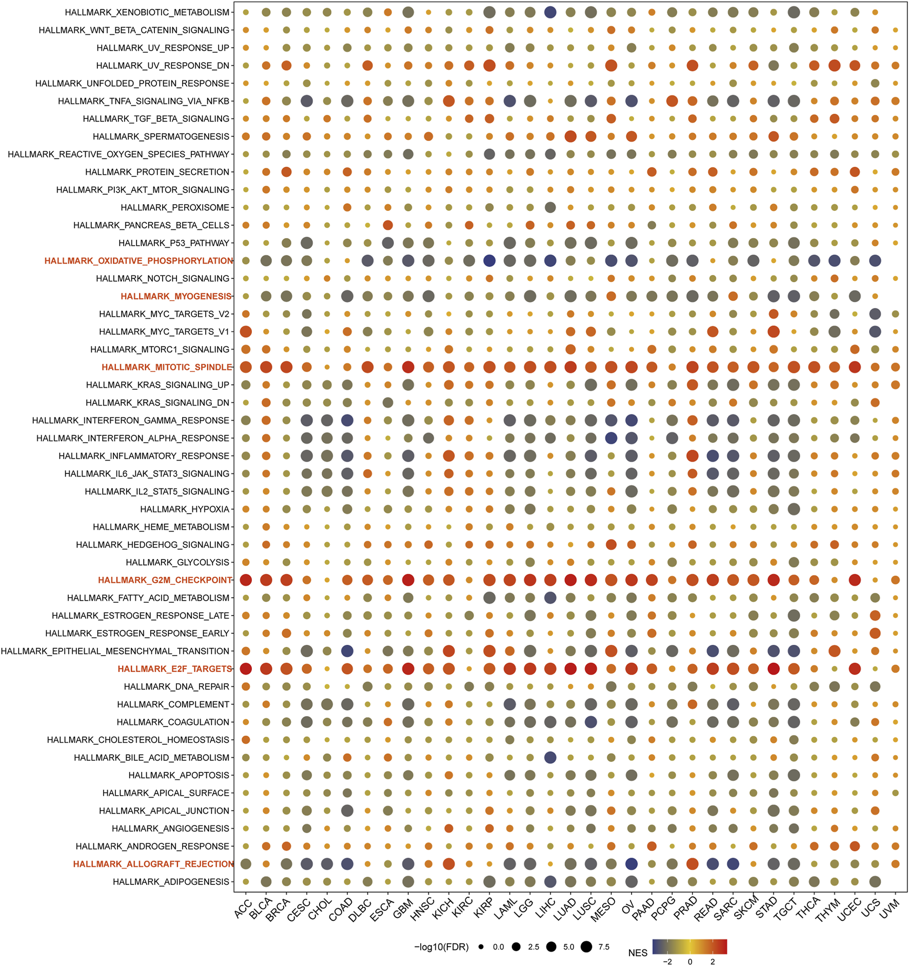 Dot plot depicting hallmark pathways across multiple cancer types. Pathways are listed on the left, and cancer types are labeled along the bottom. Dot size indicates -log10(FDR) and color represents NES, from blue (negative) to red (positive).