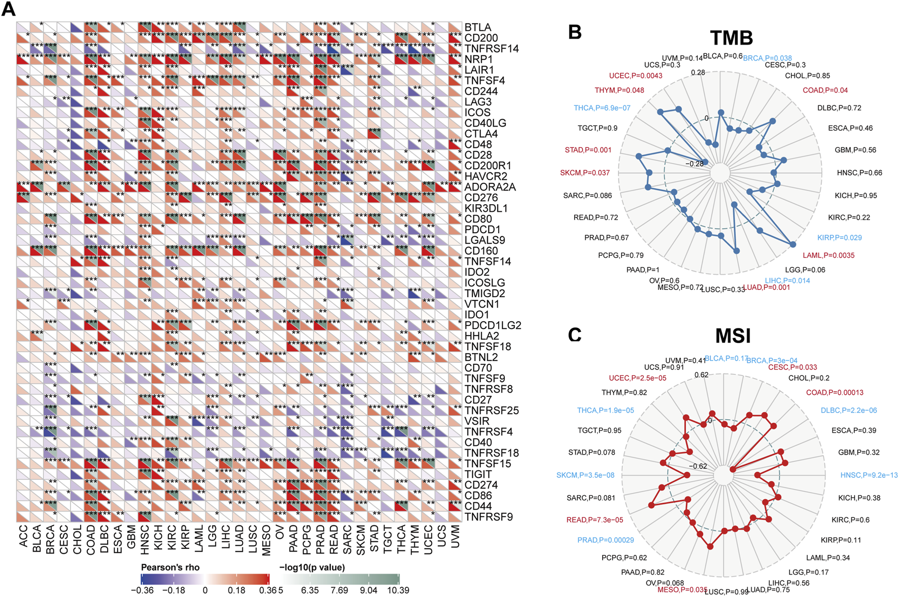 A heat map (A) displays the correlation between different genes across various cancer types, with color coding for Pearson's rho values and statistical significance. Panel B is a radar chart labeled "TMB," showing the tumor mutation burden across different cancers with associated p-values. Panel C is another radar chart labeled "MSI," indicating microsatellite instability across cancers, also with p-values. Each chart uses different colors and symbols to convey data significance and relationships.
