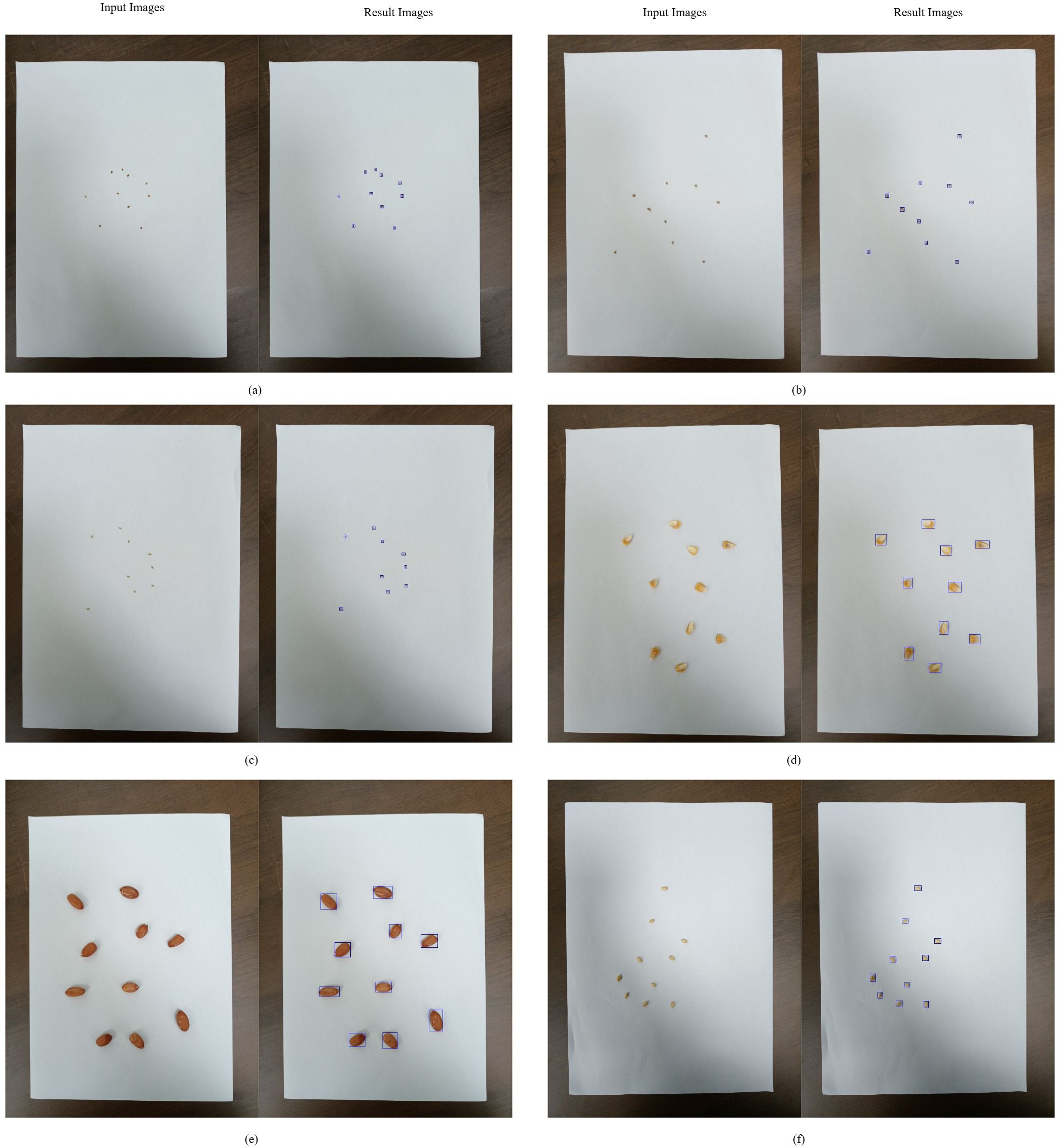 Input and result images are displayed in paired columns labeled (a) to (f). Each pair shows an input image of scattered brown objects on white paper and a corresponding result image highlighting the objects with blue or red boxes, indicating object detection analysis.