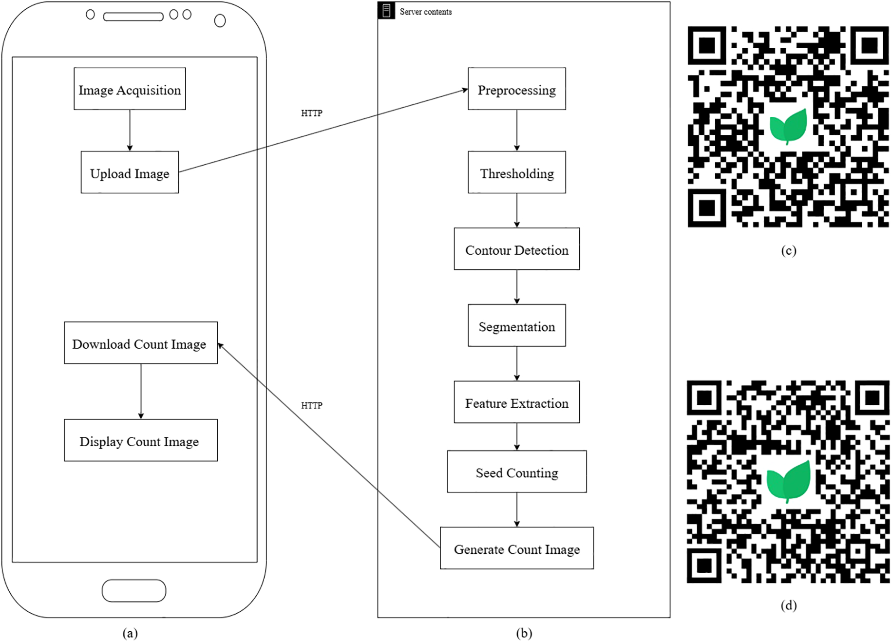 Diagram illustrating a seed counting process using a mobile app and a server. The mobile app section shows stages of image acquisition, uploading, downloading, and displaying count images. The server section details steps of preprocessing, thresholding, contour detection, segmentation, feature extraction, seed counting, and generating count images. Two QR codes with a leaf icon are present on the right, labeled (c) and (d).