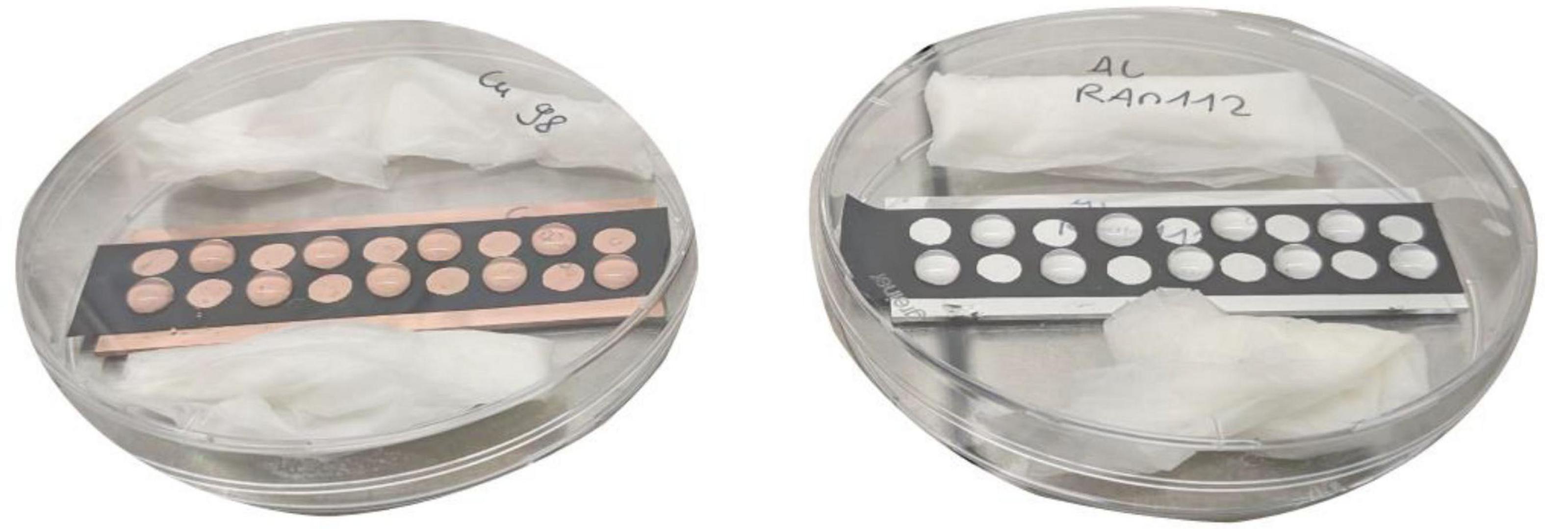 Two transparent petri dishes each contain a glass slide with respective coatings during the experiment with circular samples, set beside a white, wetted fabric. The left glass slide is copper coated (rust colored) and the right sample is aluminum coated (white colored).