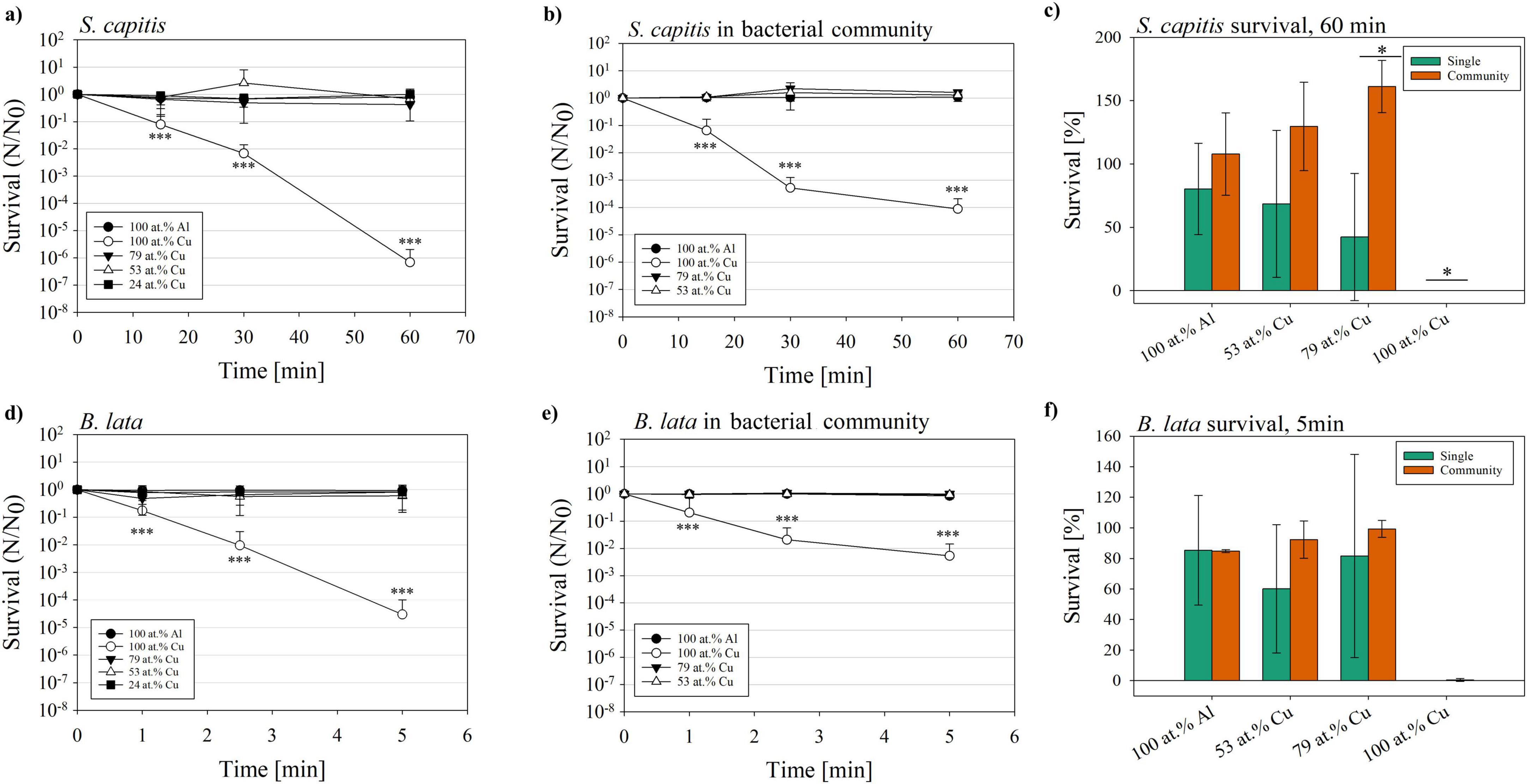 Six graphs display survival data for bacteria S. capitis and B. lata. Graphs (a) and (b) show S. capitis survival over 60 minutes, with various copper concentrations, alone and in community settings. Graphs (d) and (e) depict B. lata survival over 5 minutes, also with copper variations in similar settings. Graphs (c) and (f) compare survival percentages for S. capitis and B. lata under single and community conditions after specified times, highlighting differences in copper concentrations. Statistical significance is indicated with asterisks.