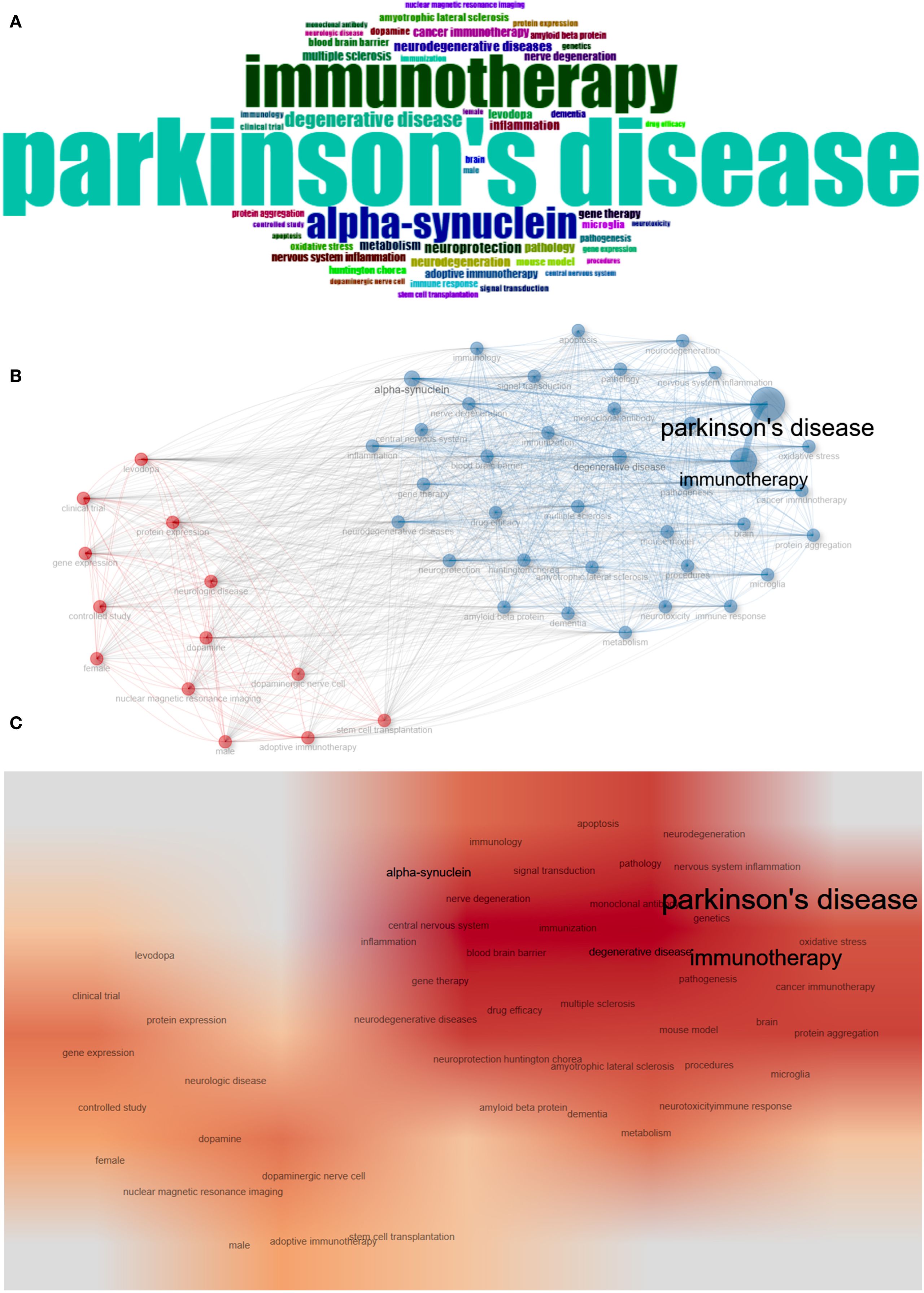 Panel A displays a word cloud highlighting terms like “Parkinson's disease,” “immunotherapy,” and “alpha-synuclein” in varying sizes. Panel B shows a network graph with red and blue nodes, labeled with terms related to Parkinson's disease and immunotherapy, linked by connecting lines. Panel C presents a heatmap with terms like “alpha-synuclein” and “immunotherapy” over a gradient of warm colors, emphasizing connections to Parkinson's disease.