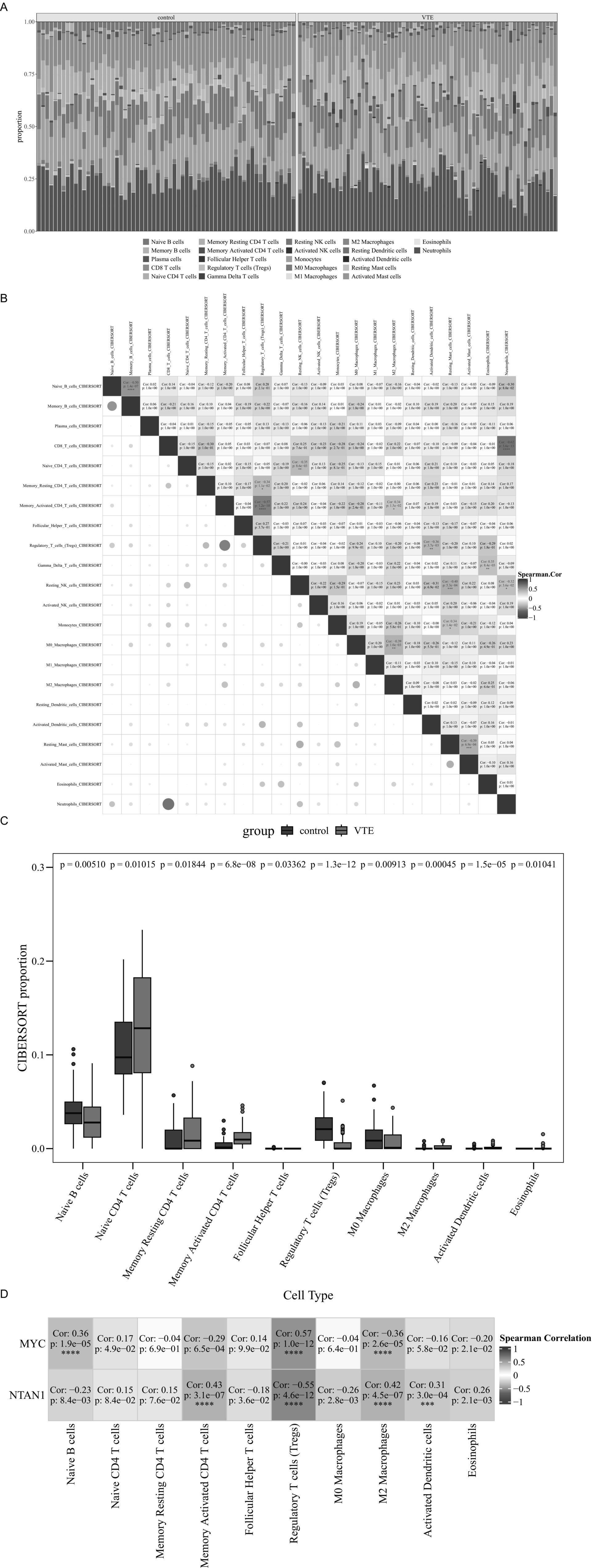 A two-part graphic display. (A) Stacked bar plot showing cell type proportions in control vs. VTE samples, with a multicolored legend indicating various cell types such as B cells, T cells, and macrophages. (B) Heat map illustrating correlation between different cell types, using color gradients from red (positive correlation) to blue (negative correlation), accompanied by a size-scaled bubble overlay. Box plots and heatmap comparing immune cell proportions and correlations. Top graph: box plots show differences in cell proportions between control (red) and VTE (blue) groups across various cell types with significant p-values indicated. Bottom heatmap: displays Spearman correlation coefficients between MYC and NTAN1 with various cell types. Correlation strength and significance are color-coded, with red indicating positive and blue indicating negative correlations.