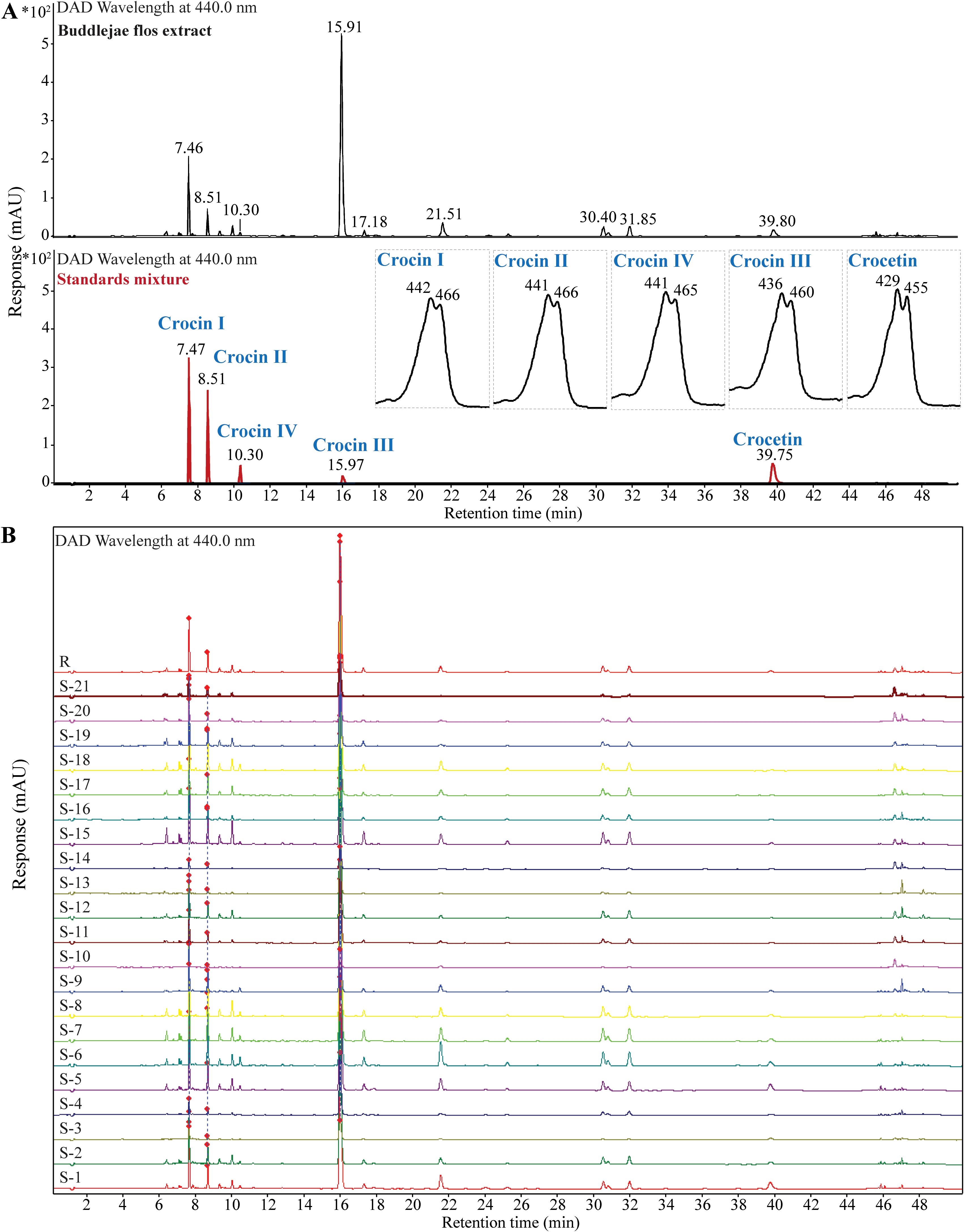 Chromatogram comparing Buddlejae flos extract and standard mixtures. Panel A shows peaks for Crocin I, II, III, IV, and Crocetin with specific retention times. Panel B displays multiple chromatograms with different sample codes (R, S-1 to S-21) showing a variety of peak patterns along the retention time axis at a wavelength of four hundred forty nanometers.