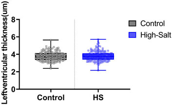 Box plot comparing left ventricle thickness in micrometers between control and high-salt groups. Control group is shown in gray, high-salt group in blue. High-salt group shows increased median thickness.