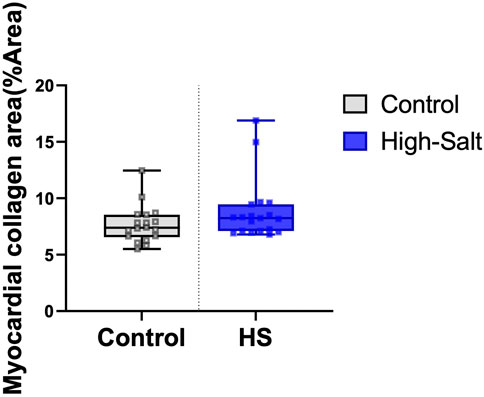 Box plot comparing myocardial collagen area percentage between control and high-salt (HS) groups. The control group shows a lower median percentage around 10%, while the HS group shows a higher variation and median near 15%.