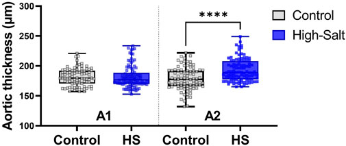 Box plot showing aortic thickness in micrometers for control and high-salt (HS) groups under conditions A1 and A2. Control is shown in gray and high-salt in blue. Under A2, high-salt is significantly higher, indicated by asterisks.