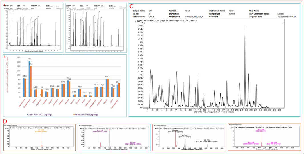 Composite image showing various data visualizations related to amino acid and chemical analysis. Panel A features two chromatographs with peaks indicating chemical components. Panel B presents a bar graph comparing amino acid content in two samples. Panel C contains a mass spectrometry graph with prominent peaks around 21 to 24 minutes. Panel D includes three zoomed mass spectrometry spectra with individual peaks labeled by mass-to-charge ratio.
