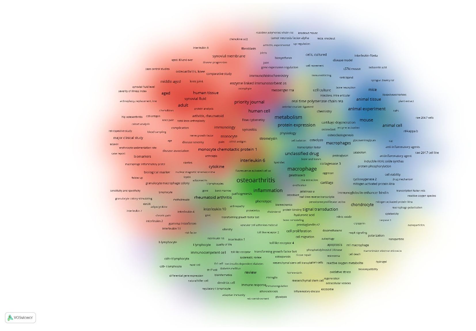 A colorful network visualization displaying various interconnected medical and scientific terms in clusters. Terms like “osteoarthritis,” “inflammation,” and “macrophage” are prominent. The clusters are shaded in hues of red, blue, green, and yellow, indicating areas of thematic concentration, possibly related to research or study topics in medicine. The visualization's layout suggests relationships and co-occurrences among the terms.