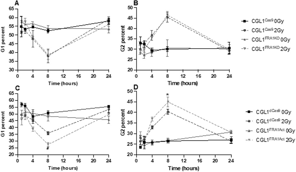 Line graphs display cell cycle data over 24 hours for different cell lines and radiation treatments. Panels A and C show G1 phase percentages; Panels B and D show G2 phase percentages. Each graph includes four lines representing varying conditions: CGL1 with Cas9 or FRA1 knockout under 0 Gy or 2 Gy radiation. Asterisks indicate significant differences.