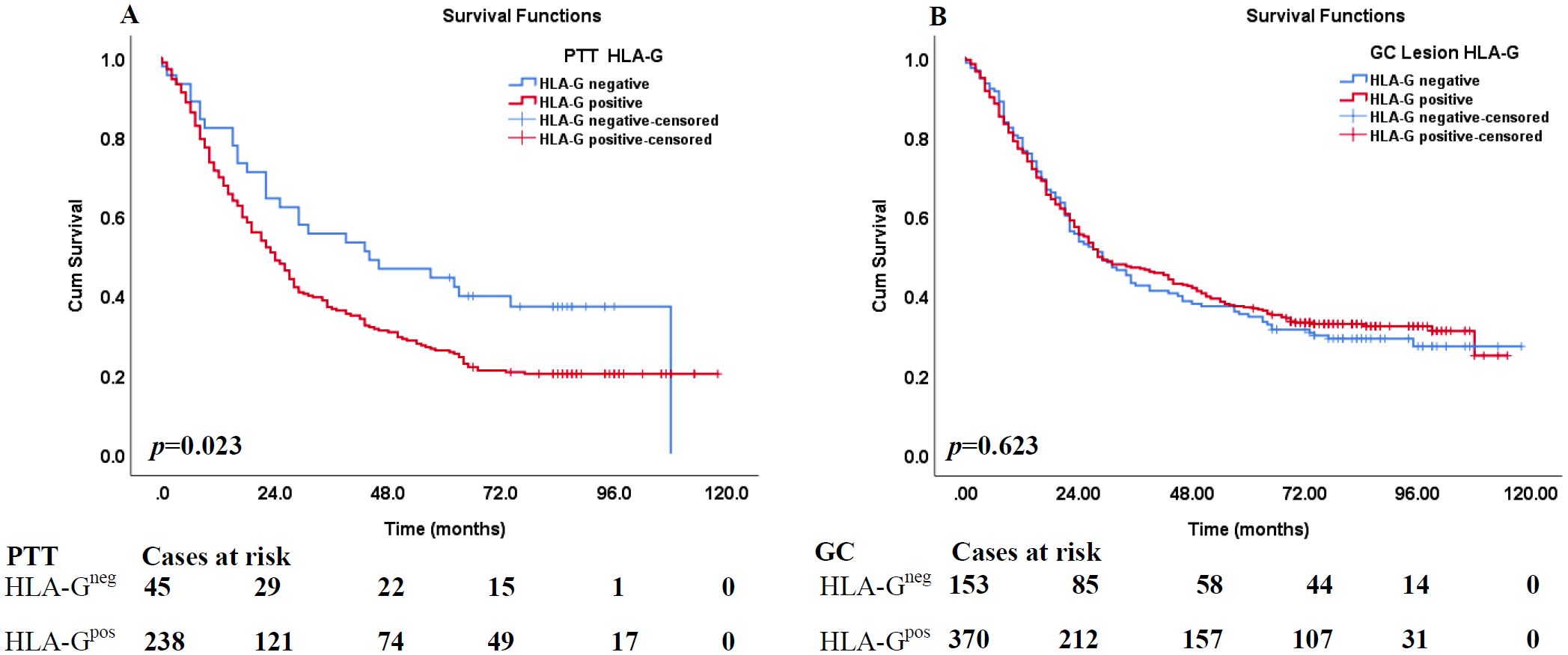 Two survival function graphs compare cumulative survival over time for HLA-G positive and negative cases. Graph A shows significant survival differences (p=0.023) for PTT cases, with lower survival for HLA-G positive individuals. Graph B displays similar survival curves (p=0.623) for GC lesions, indicating no significant difference. Each graph includes a risk table showing cases at risk over time for each group.