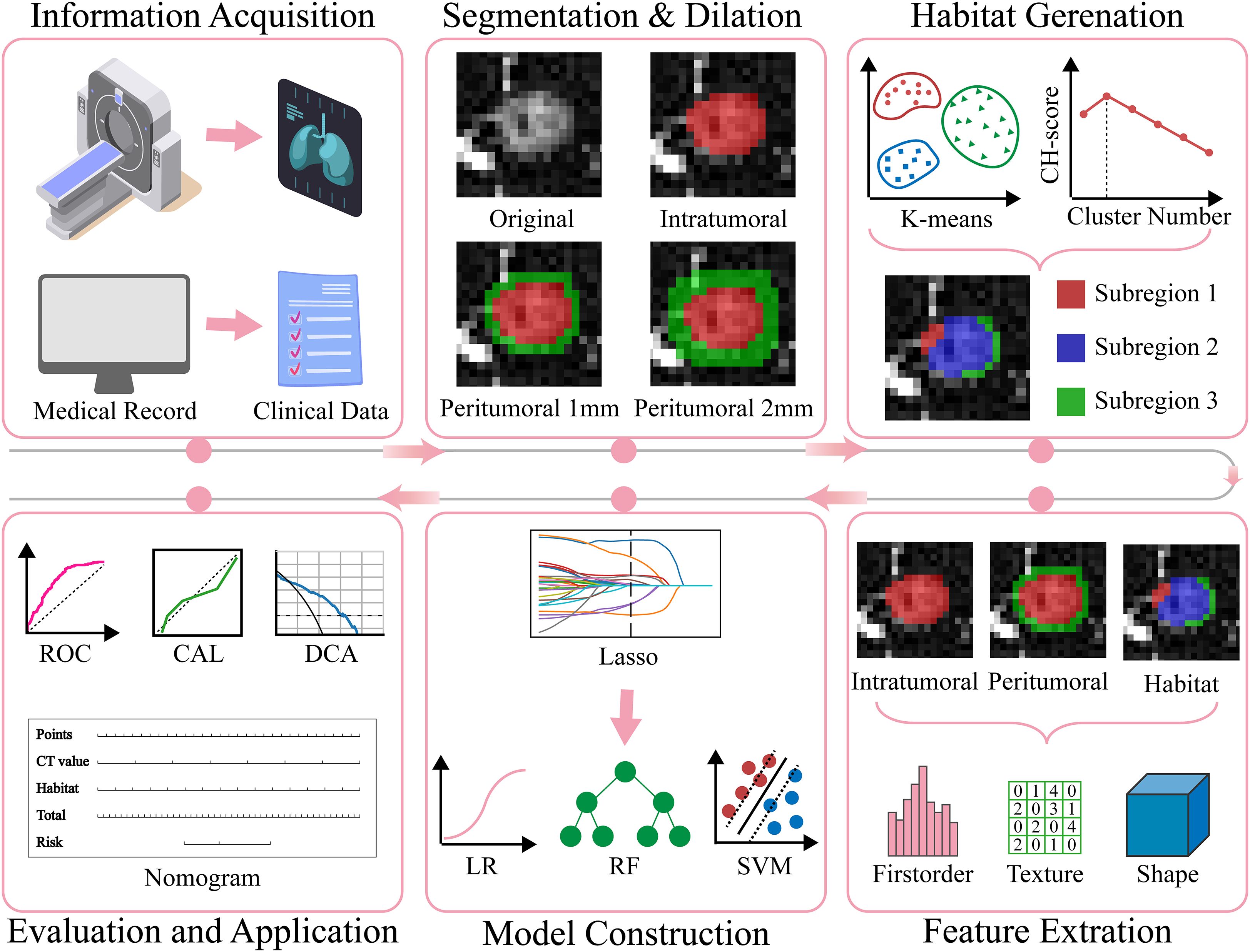 Flowchart detailing a medical imaging analysis process, comprising five stages: Information Acquisition, Segmentation & Dilation, Habitat Generation, Model Construction, and Evaluation & Application. Information Acquisition involves CT scans and clinical data. Segmentation & Dilation focuses on intratumoral and peritumoral imaging. Habitat Generation uses K-means clustering to identify subregions. Model Construction employs lasso, logistic regression, random forest, and support vector machines, analyzing first-order, texture, and shape features. Evaluation & Application includes ROC, calibration, and decision curve analysis, alongside a nomogram for risk assessment.