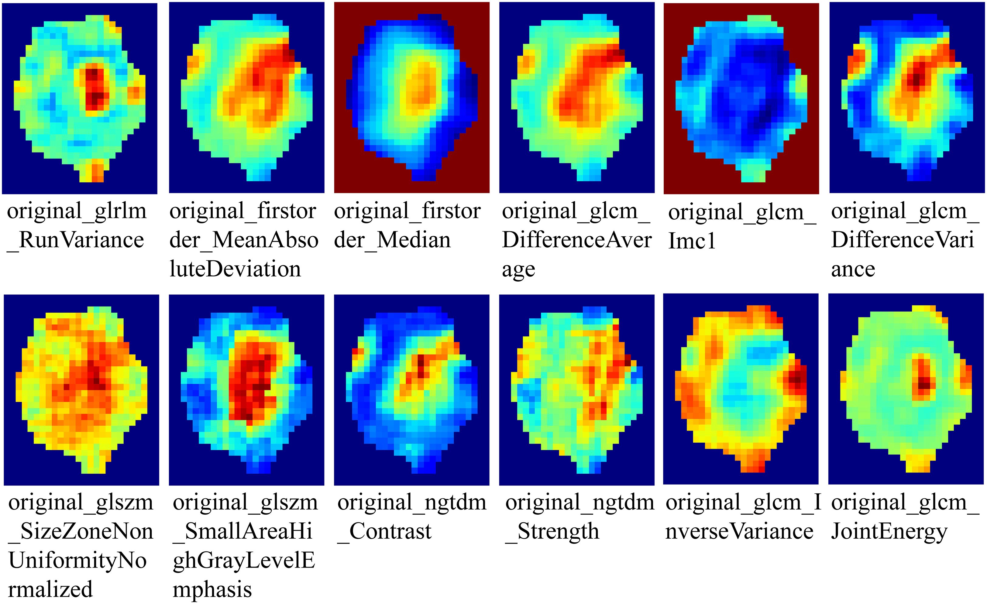 Twelve square-shaped heatmaps display various texture analysis features with vivid color gradients ranging from blue to red. Each map is labeled beneath with terms like “RunVariance,” “MeanAbsoluteDeviation,” “Median,” “DifferenceAverage,” and others, indicating different computational metrics. The maps exhibit varied shapes and concentration areas, reflecting differences in texture or image data characteristics.
