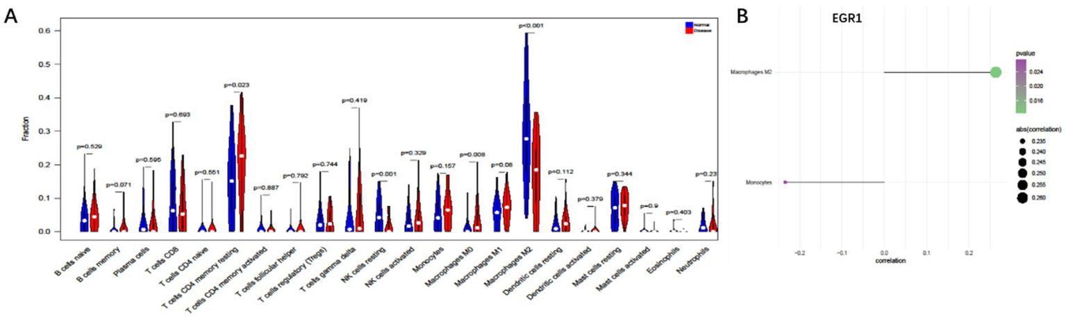 Panel A displays a violin plot comparing cell fractions across categories, with significant differences marked (e.g., Macrophages M2, p<0.001) between normal (blue) and disease (red) conditions. Panel B presents a correlation plot for EGR1, highlighting macrophages M2 with a circle size indicating correlation strength and a color gradient indicating p-value.