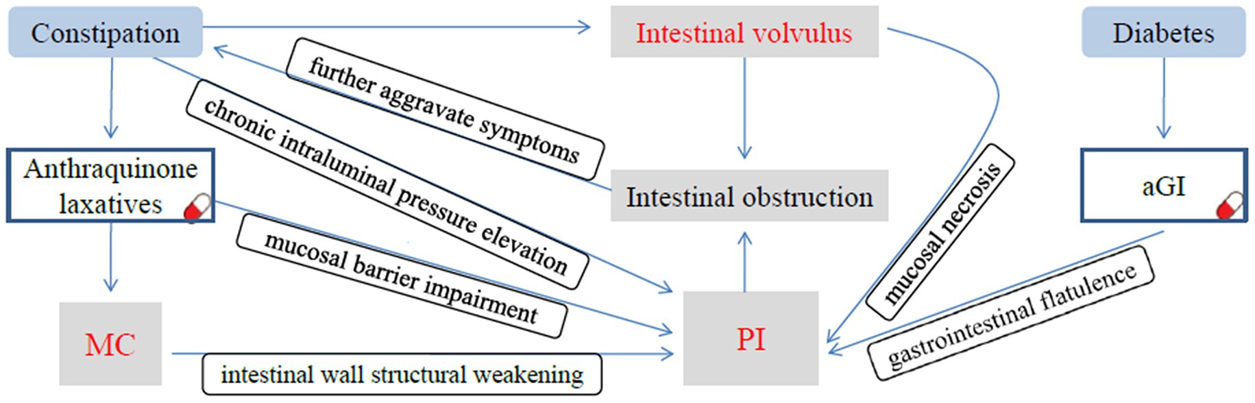 Flowchart illustrating the relationship between constipation, diabetes, and intestinal complications. Arrows indicate connections from constipation to anthraquinone laxatives and intestinal obstruction, from diabetes to aGI, leading to outcomes like intestinal volvulus, mucosal necrosis, and gastrointestinal flatulence.