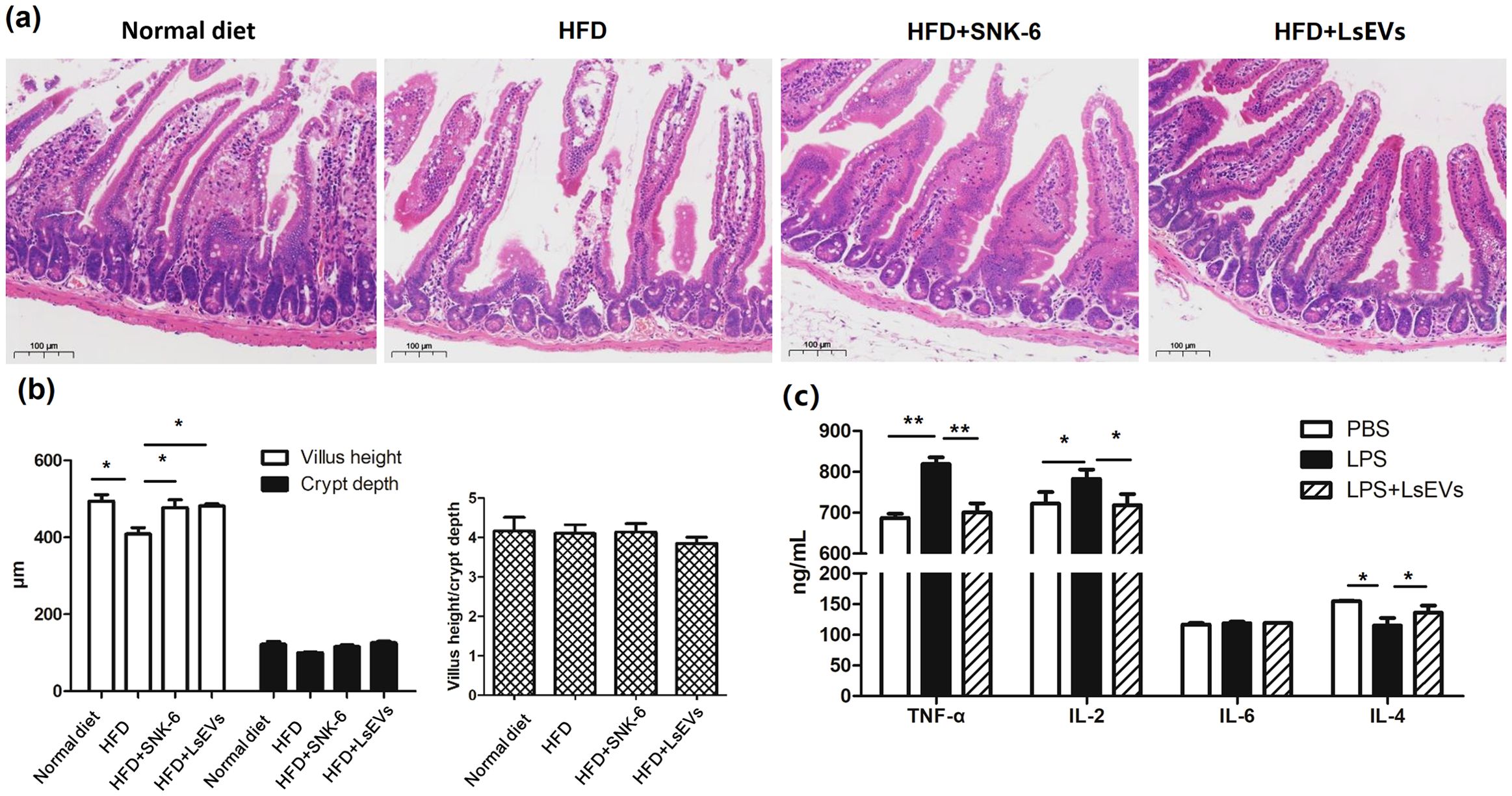 Four panels showing different experimental results. (a) Histological images of intestinal tissues from four dietary groups: Normal diet, HFD, HFD+SNK-6, and HFD+LsEVs. The villus structures differ among the groups. (b) Bar chart comparing villus height and crypt depth across dietary groups, with significant differences indicated by asterisks. (c) Bar chart showing levels of TNF-α, IL-2, IL-6, and IL-4 across different treatments: PBS, LPS, and LPS+LsEVs, with significant differences noted.