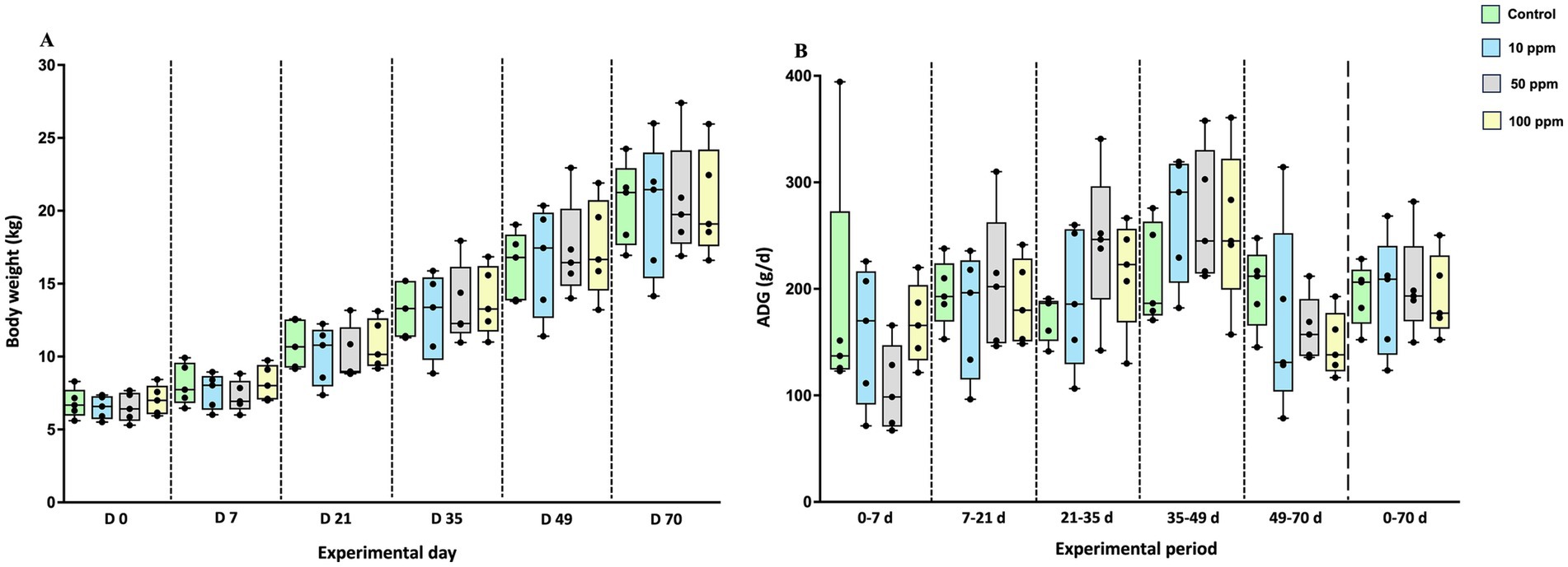 Two box plot charts compare body weight and average daily gain among groups with different treatments over time. Chart A shows body weight in kilograms across days zero to seventy. Chart B shows average daily gain in grams per day for corresponding experimental periods. Groups are color-coded: green for control, blue for 10 ppm, gray for 50 ppm, and yellow for 100 ppm. Data are represented as boxplots showing median, interquartile range (IQR), and minimum/maximum values. Black circles correspond to individual animal values within each group.