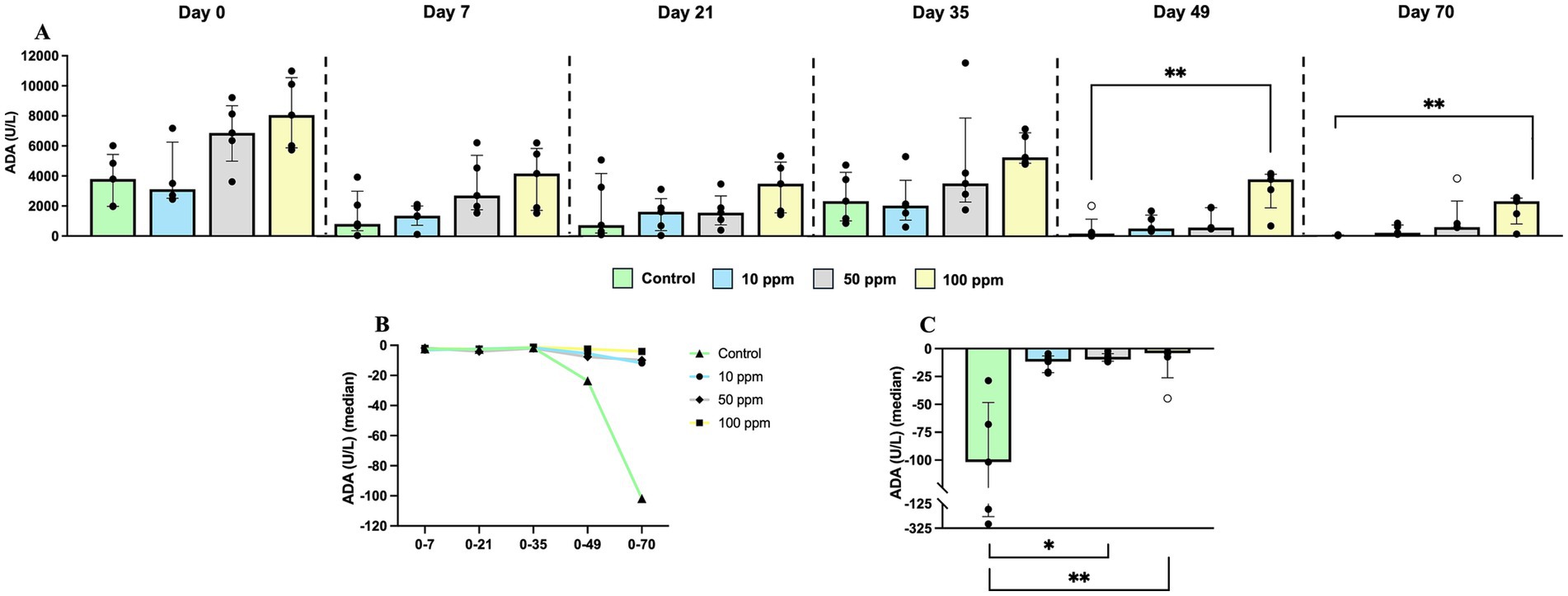 Bar graphs showing ADA levels in saliva over time among groups with different treatments (control, 10 ppm, 50 ppm, 100 ppm). Graph A displays ADA (U/L) across days 0, 7, 21, 35, 49, and 70 for control, 10 ppm, 50 ppm, and 100 ppm treatments. Graph B illustrates the ADA