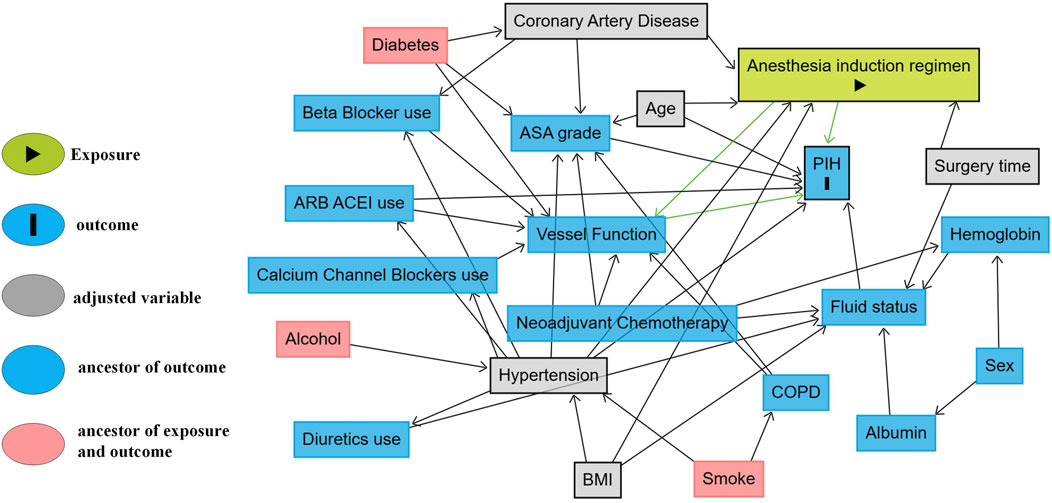 A directed acyclic graph illustrates relationships between variables related to anesthesia induction regimens. The exposure is highlighted in yellow, and significant links are shown via arrows. Key nodes include Coronary Artery Disease, Hypertension, and PIH as the outcome. Variables like Age, ASA grade, and Vessel Function are central, with factors such as Diabetes, Alcohol, and Smoking influencing outcomes. Adjusted variables are gray, outcome ancestors are blue, and exposure/outcome ancestors are pink.