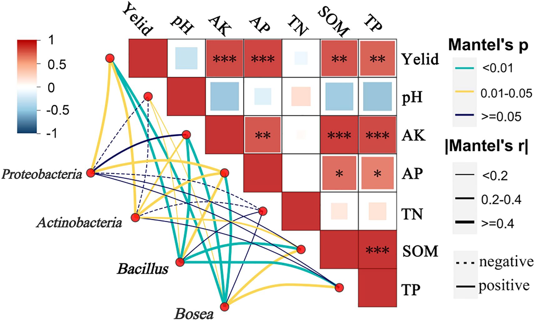 Correlation matrix and network diagram showing relationships between various soil properties and microbial groups. The matrix uses a red-to-blue color gradient indicating correlation strength from 1 to -1, with significance levels marked by asterisks. The network diagram features colored lines denoting Mantel's p-values and line weight indicating the magnitude of Mantel's r-values. The legend explains color and line weight codes, along with positive and negative correlations.