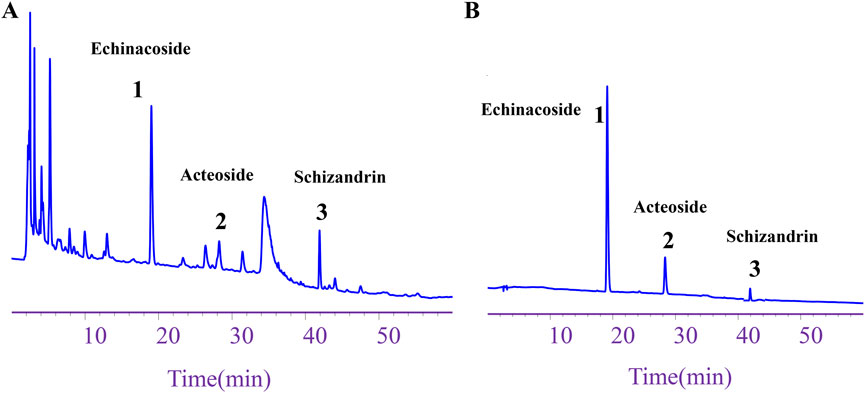 Two chromatograms labeled A and B compare the elution of Echinacoside, Acteoside, and Schizandrin over time in minutes. Peaks for Echinacoside (1), Acteoside (2), and Schizandrin (3) are labeled, showing distinct separations in both graphs. Chromatogram A has broader peaks, while B shows sharper peaks.