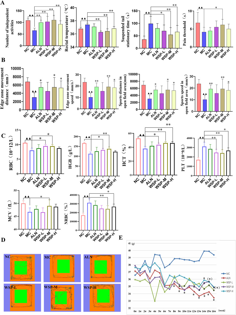 Various charts and images illustrate experimental data. Panels A, B, and C show bar graphs comparing different groups (NC, MC, ALN, WSP-L, WSP-M, and WSP-H) on metrics like activity, temperature, pain threshold, movement, and hematological parameters. Panel D features six heat maps displaying movement patterns in colored zones. Panel E is a line graph depicting weight changes over weeks for each group. Each panel contains statistical annotations marked by symbols for significance.