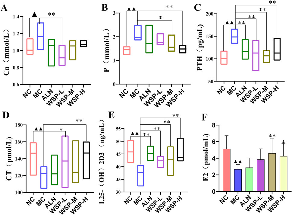 Bar graphs labeled A to F compare different groups: NC, MC, ALN, WSP-L, WSP-M, and WSP-H. Metrics measured include calcium (Ca), phosphorus (P), parathyroid hormone (PTH), calcitonin (CT), 1,25-(OH)2D3, and estradiol (E2). Significant differences are marked by asterisks and triangles, indicating statistical significance among the groups.