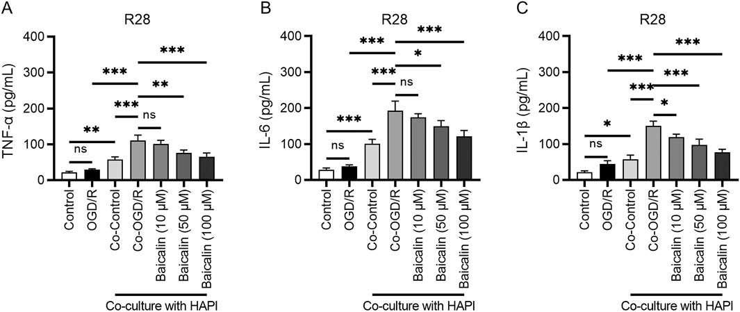 Bar graphs labeled A, B, and C illustrate the effects of different treatments on cytokine levels. Each graph compares control, OGD/R, co-control, co-OGD/R, and varying concentrations of Baicalin (10, 50, and 100 µM). Graph A shows TNF-α, B illustrates IL-6, and C displays IL-1β levels, each with statistical significance marked by asterisks. All graphs indicate significant reductions with Baicalin treatment compared to controls.