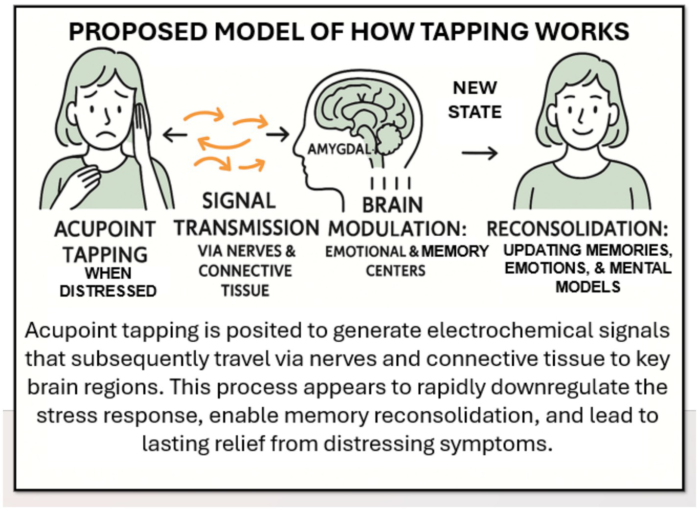 Proposed model of how tapping works, shown as a flowchart. It starts with "Acupoint Tapping" when distressed, leading to "Signal Transmission" via nerves and tissue, then "Brain Modulation" in emotional and memory centers. This results in "Reconsideration," updating memories, emotions, and mental models, achieving a new state.