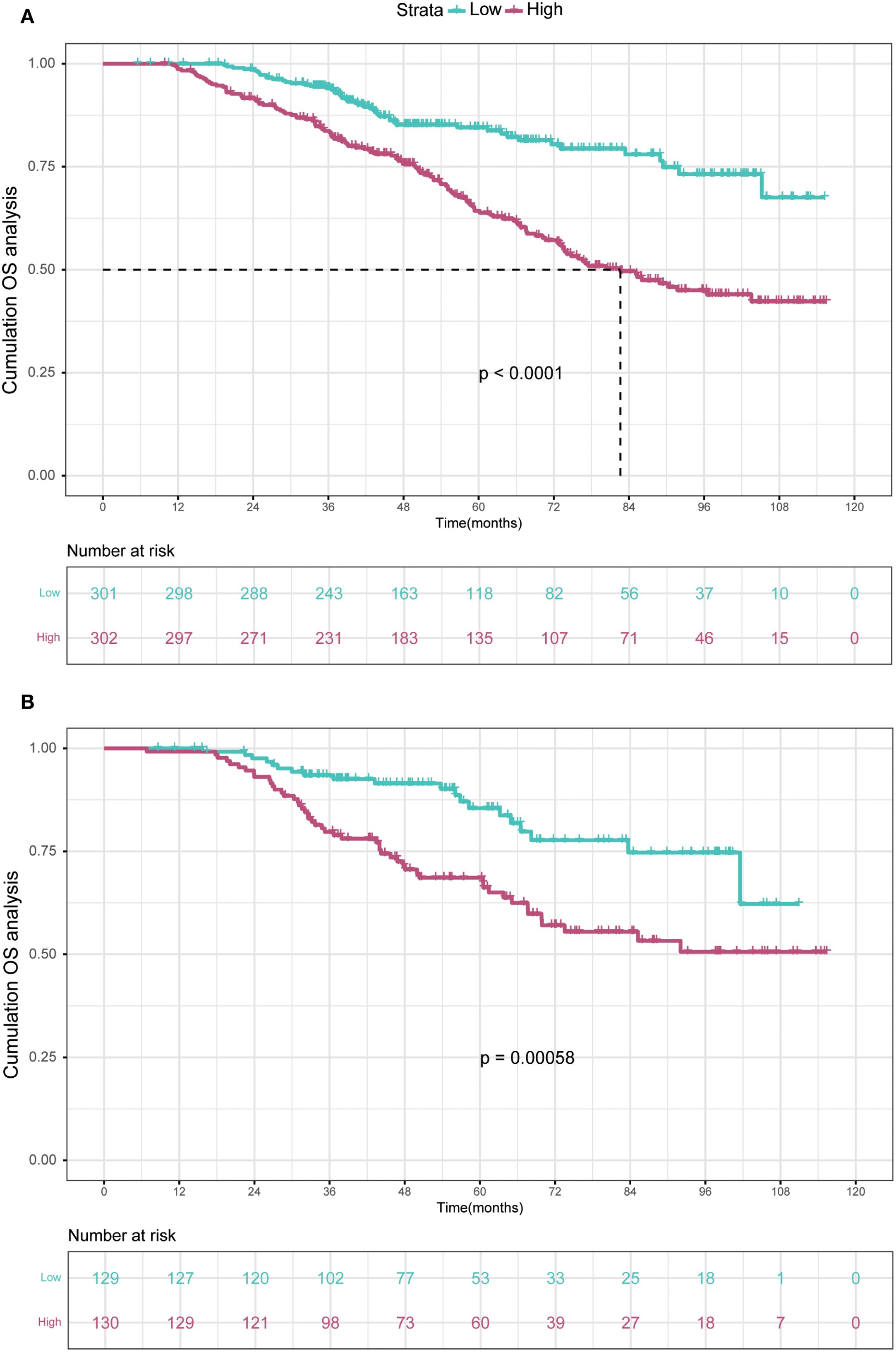 Two Kaplan-Meier survival curves comparing low and high strata groups in graphs A and B. Graph A shows a significant survival difference (p < 0.0001) over 120 months, with low strata exhibiting higher survival rates than high strata. Graph B also indicates a significant difference (p = 0.00058), confirming better outcomes for the low strata. The graphs include numbers at risk over time for both groups.