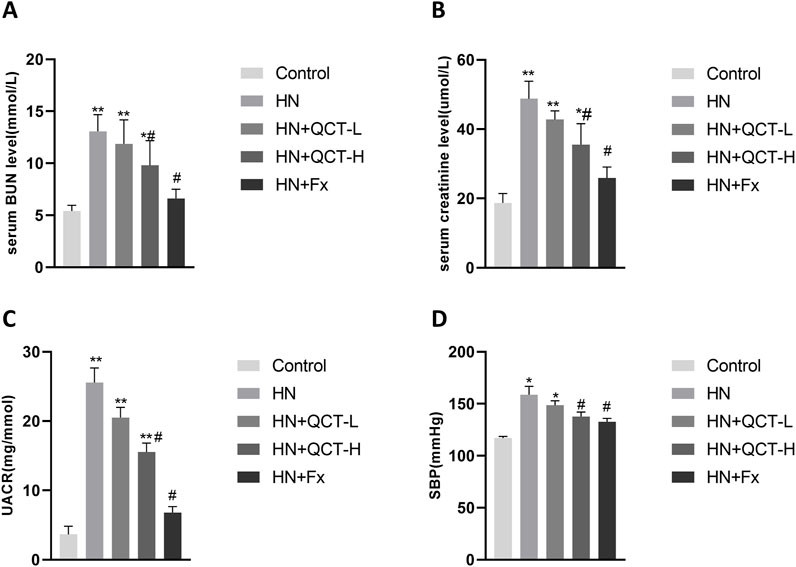 Four bar graphs labeled A to D showing various measurements in different treatment groups: Control, HN, HN+QCT-L, HN+QCT-H, and HN+Fx. Graph A shows serum BUN levels, B shows serum creatinine levels, C shows UACR, and D shows SBP. Each graph indicates significant differences with symbols like asterisks and hash marks. The y-axes are labeled with respective units, and the legend identifies the groups with varying gray shades.