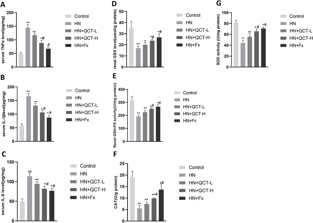 Bar graphs labeled A to G show various biological markers across different conditions: Control, HN, HN+QCT-L, HN+QCT-H, and HN+Fx. Markers include serum TNFα, IL-1β, IL-6, renal GSH, GSH-PX activity, CAT activity, and SOD activity. Each group is represented by distinct bars with standard error bars, and significant differences are indicated by asterisks and hashtags.