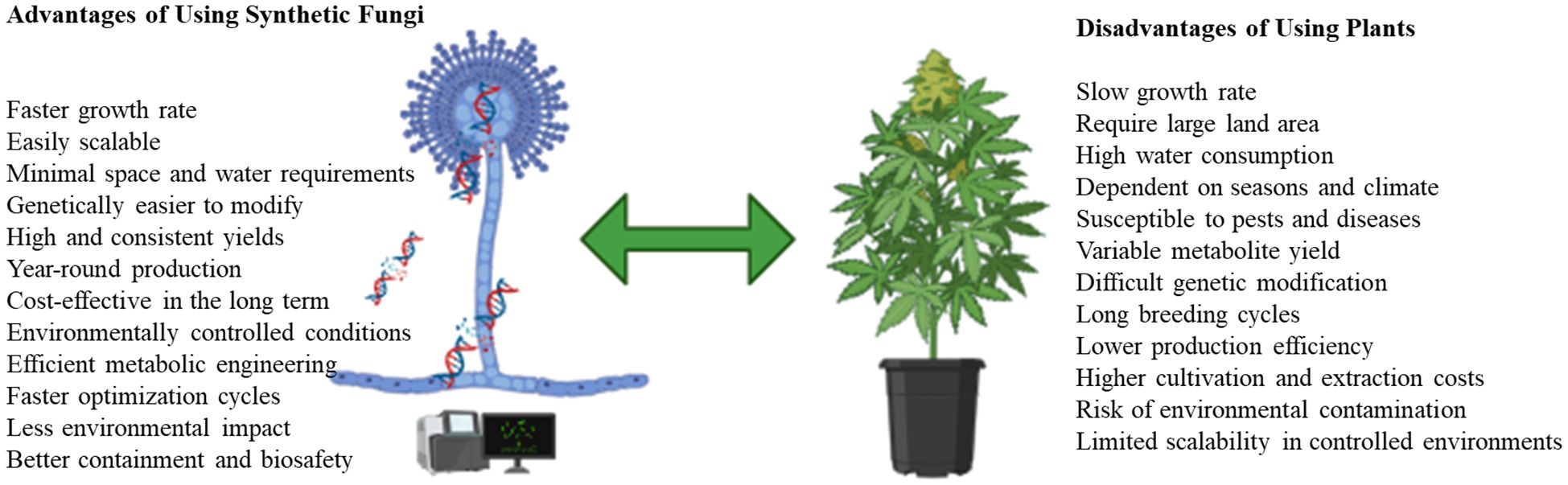 Comparison graphic showing advantages of using synthetic fungi versus disadvantages of using plants. Left side lists advantages of synthetic fungi, such as faster growth rate, scalability, and minimal resource needs. Right side lists disadvantages of plants, like slow growth, large land requirement, and susceptibility to pests. An arrow separates an illustration of a fungus and a potted plant.