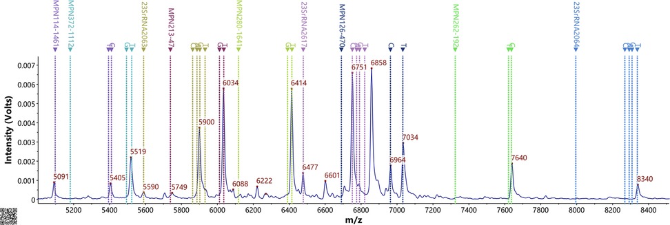Mass spectrometry graph showing intensity in volts on the y-axis against mass-to-charge ratio (m/z) on the x-axis. Peaks are labeled with values like 5091, 5519, and 7640, with vertical lines in different colors indicating specific markers, such as MPN114-461 and 23S-RNA2063.