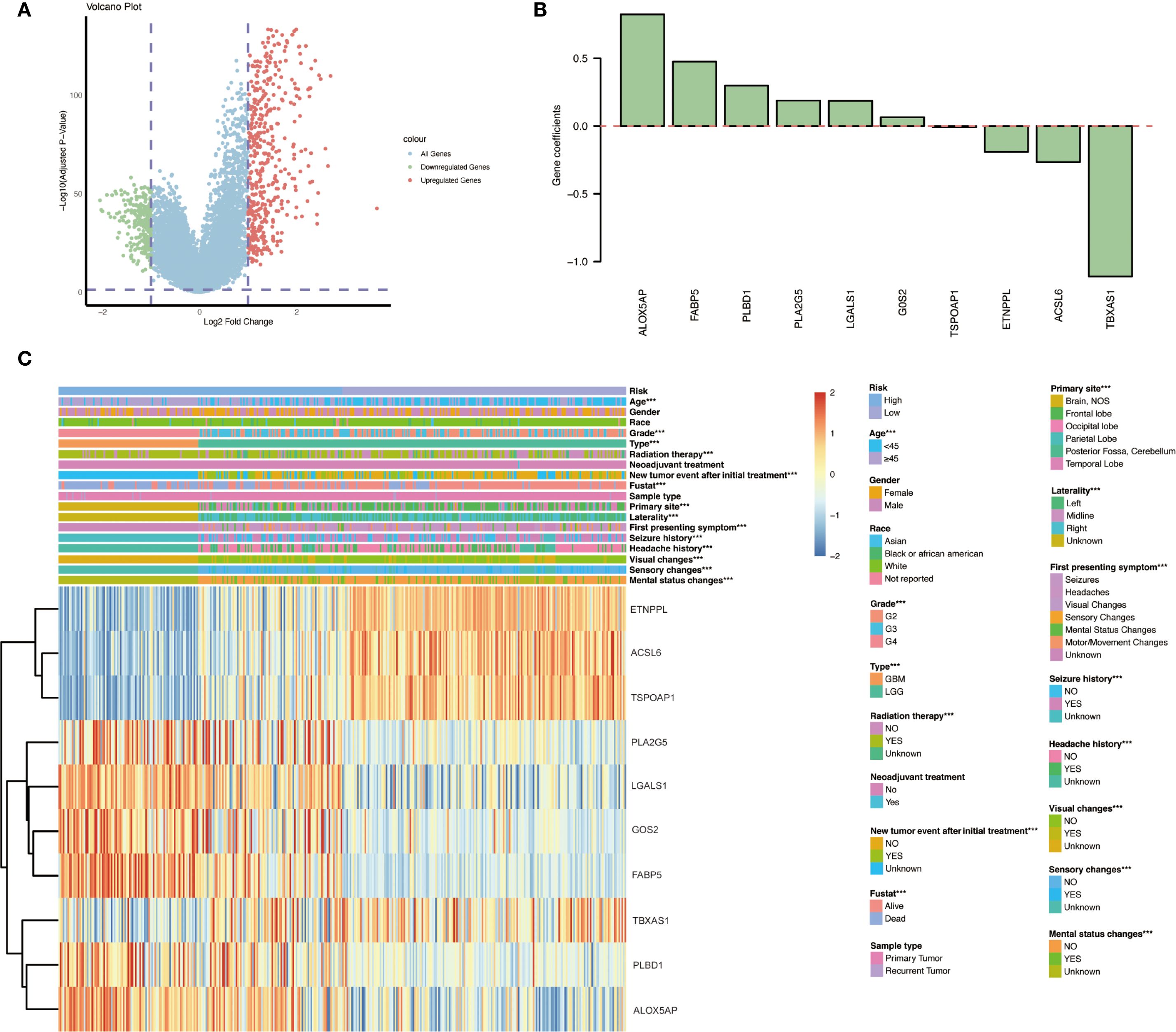 Diagram with three panels analyzing gene expression: A) Volcano plot showing gene distribution: upregulated (red), downregulated (green) against significance. B) Bar chart of gene coefficients for selected genes, varying from positive to negative values. C) Heatmap displaying gene expression with patient characteristics, color-coded for variables like risk, age, gender, and treatment history, alongside a color legend.