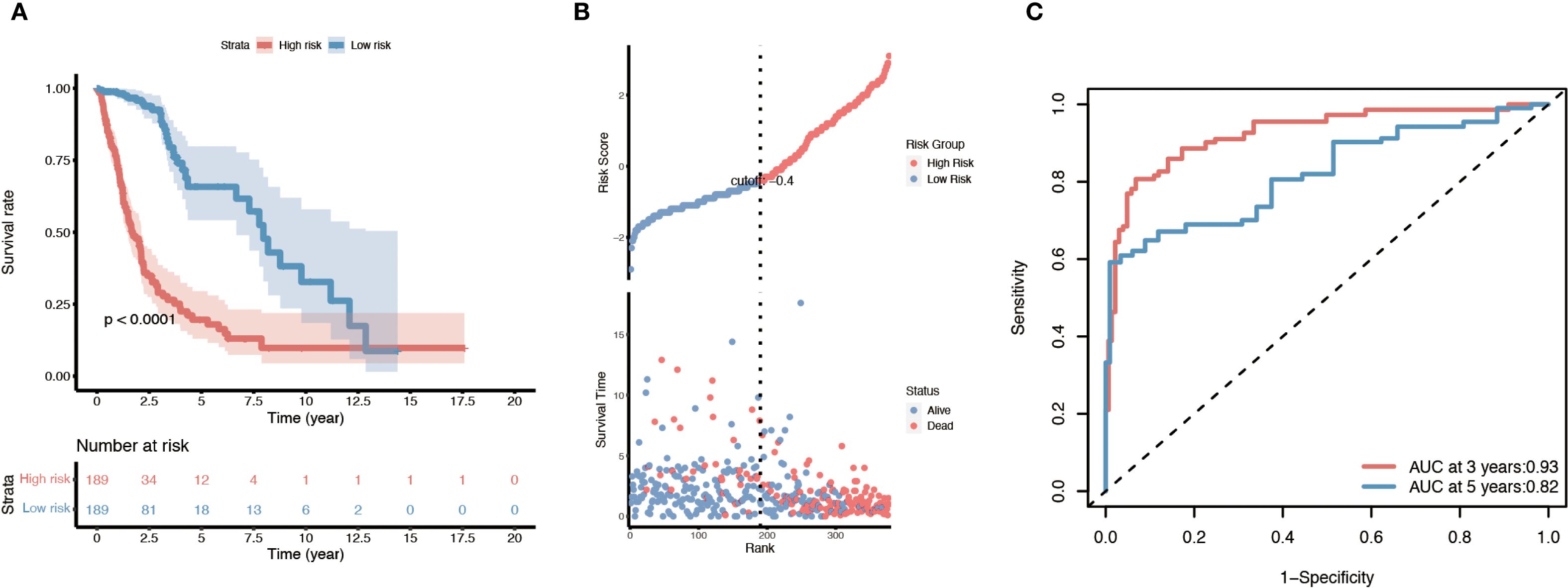 Panel A shows a Kaplan-Meier survival curve comparing high-risk and low-risk groups over 20 years, highlighting a significant difference with a p-value less than 0.0001. Panel B presents a scatter plot displaying risk scores with a cutoff at 0.4, indicating survival times for high and low-risk groups. Panel C features a Receiver Operating Characteristic (ROC) curve with Area Under the Curve (AUC) values of 0.93 at three years and 0.82 at five years, demonstrating model sensitivity and specificity.