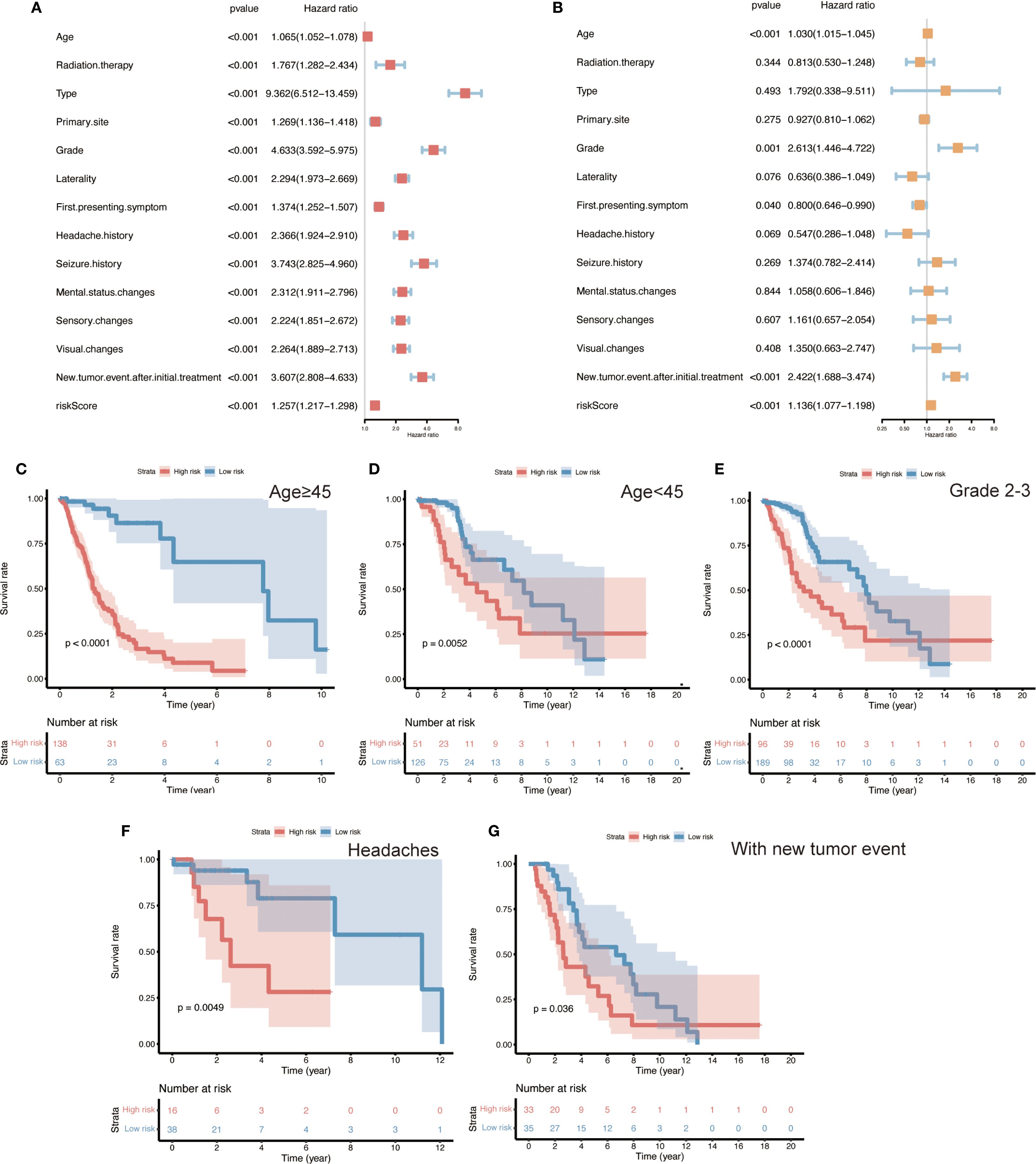 Comparison of survival outcomes and hazard ratios using data visualizations. Panels A and B show forest plots with hazard ratios for various factors like age, radiation therapy, and tumor characteristics. Panels C to G display Kaplan-Meier survival curves for different subgroups: patients aged over and under forty-five, those with grade two to three tumors, headaches, and new tumor events. Each curve contrasts high-risk versus low-risk strata, with p-values indicating statistical significance.
