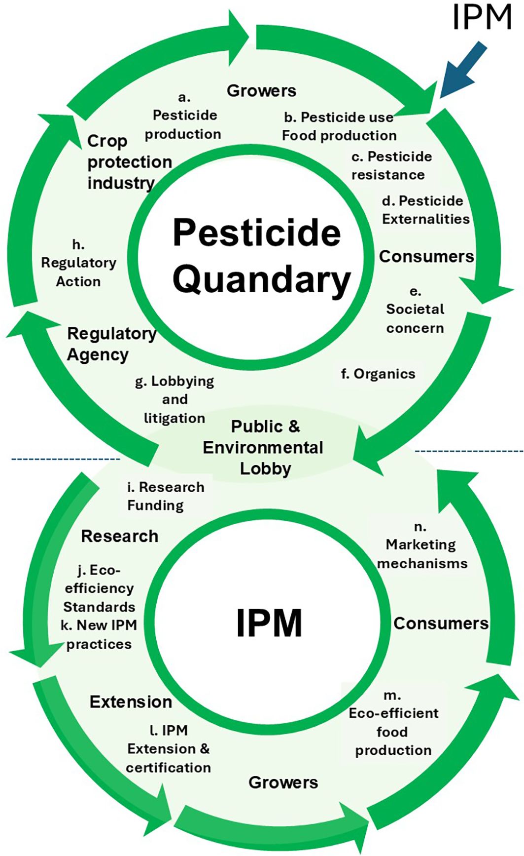 Diagram depicting two interconnected cycles: “PesticideQuandary” and “IPM”. The top cycle includes steps from growers to public agencies,addressing pesticide production, use, resistance, and regulation. The lower cycle showssteps from research to growers, focusing on IPM practices, eco-efficiency, andmarketing. The diagram highlights the cycle of traditional pesticide use in the UnitedStates and how Integrated Pest Management (IPM) practices slow the cycle.