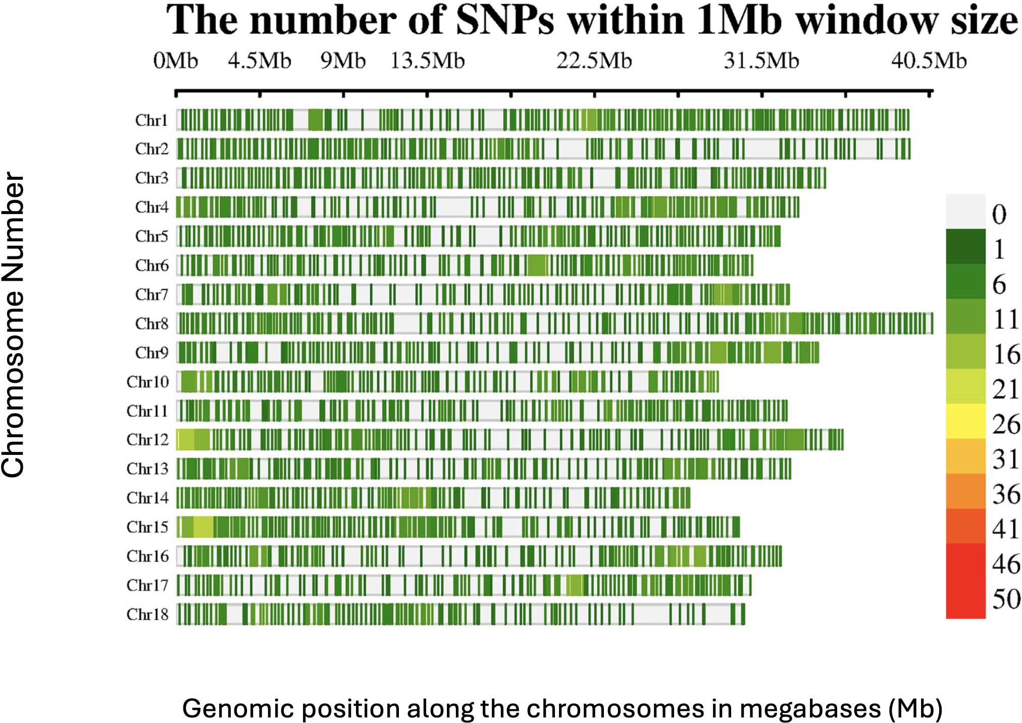 Heatmap illustrating the number of single nucleotide polymorphisms (SNPs) within a one megabase (1Mb) window size across 18 chromosomes. X-axis shows the position in megabases, Y-axis lists chromosomes 1 to 18. Color scale on the right ranges from light gray (0 SNPs) to dark red (50 SNPs) indicating SNP density.