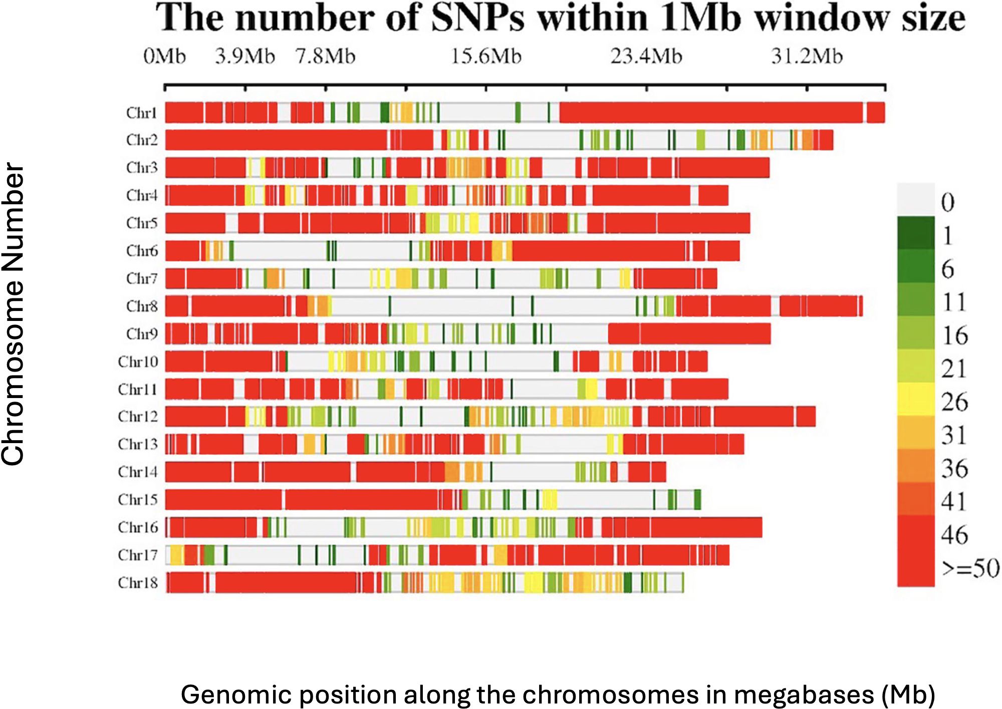Bar chart showing the number of SNPs within 1 Mb window size across 18 chromosomes (Chr1 to Chr18). Each chromosome has color-coded segments ranging from green (0 SNPs) to red (greater than or equal to 50 SNPs), depicting SNP density variations.