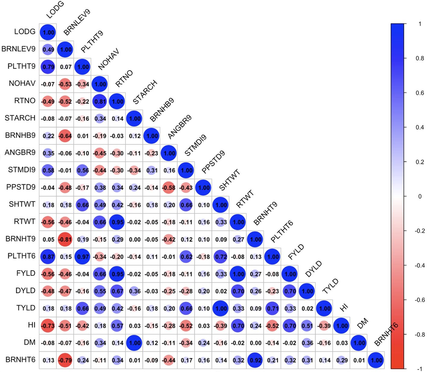 Path coefficient analysis plot depicting various factors influencing “FYL” and “RTW” in the Mokwa Trial. Arrows indicate relationships, with numbers representing coefficients. Stronger relationships are shown with thicker green arrows. Factors include NOH, RTN, HI, LOD, PLTHT6, PLTHT9, STA, STM, and ANG.