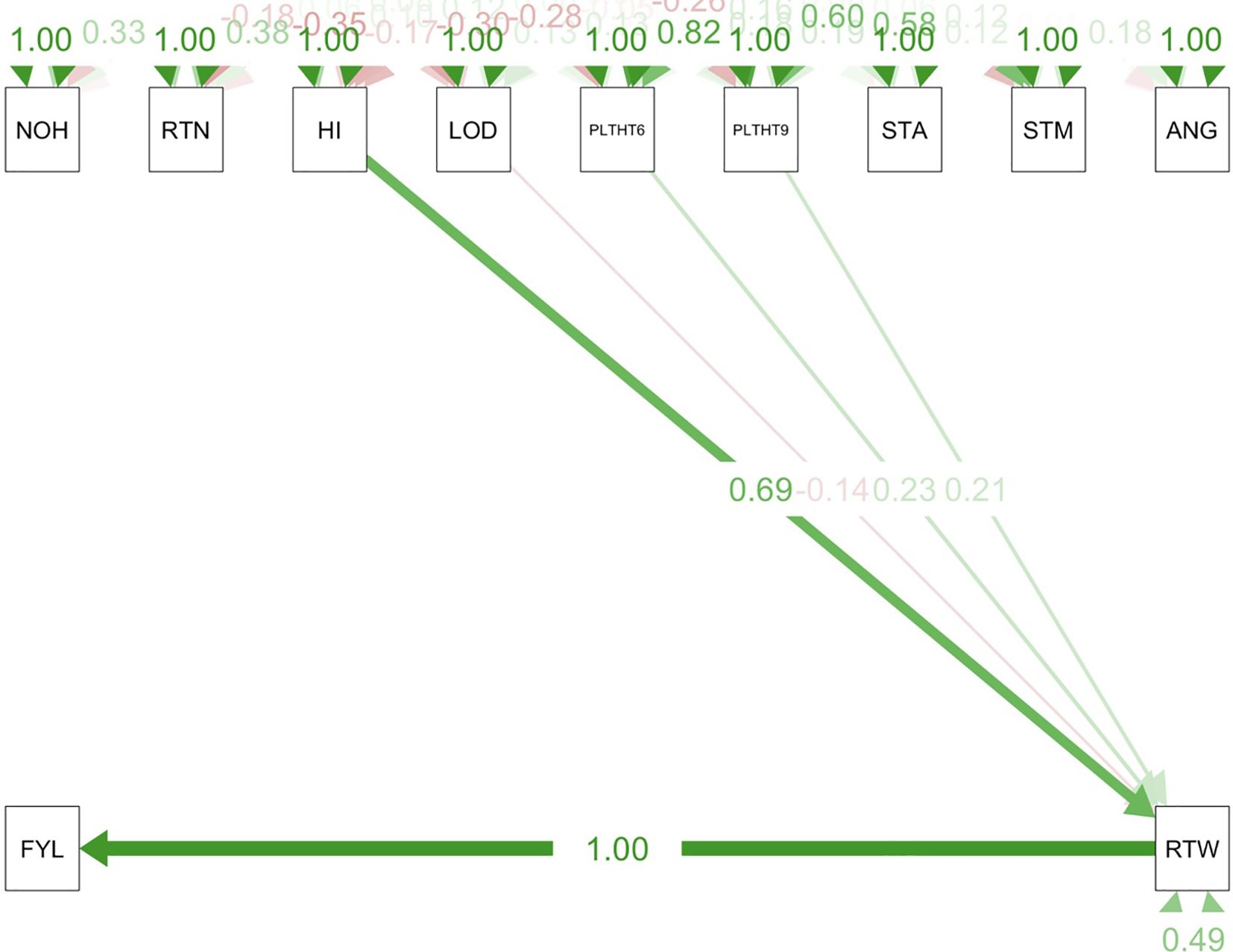 Path coefficient analysis plot labeled “Ikenne Trial” shows relationships among various variables. Boxes represent variables: NOH, RTN, HI, LOD, PLTHT6, PLTHT9, STA, STM, ANG, FYL, and RTW. Arrows between boxes indicate influence, with numbers representing coefficients. Green arrows show positive relationships and red indicates negative ones. Coefficients between variables range from -0.28 to 1.00. Notably, strong connections exist from LOD to HI and from RTW to FYL, both with coefficients of 1.00.