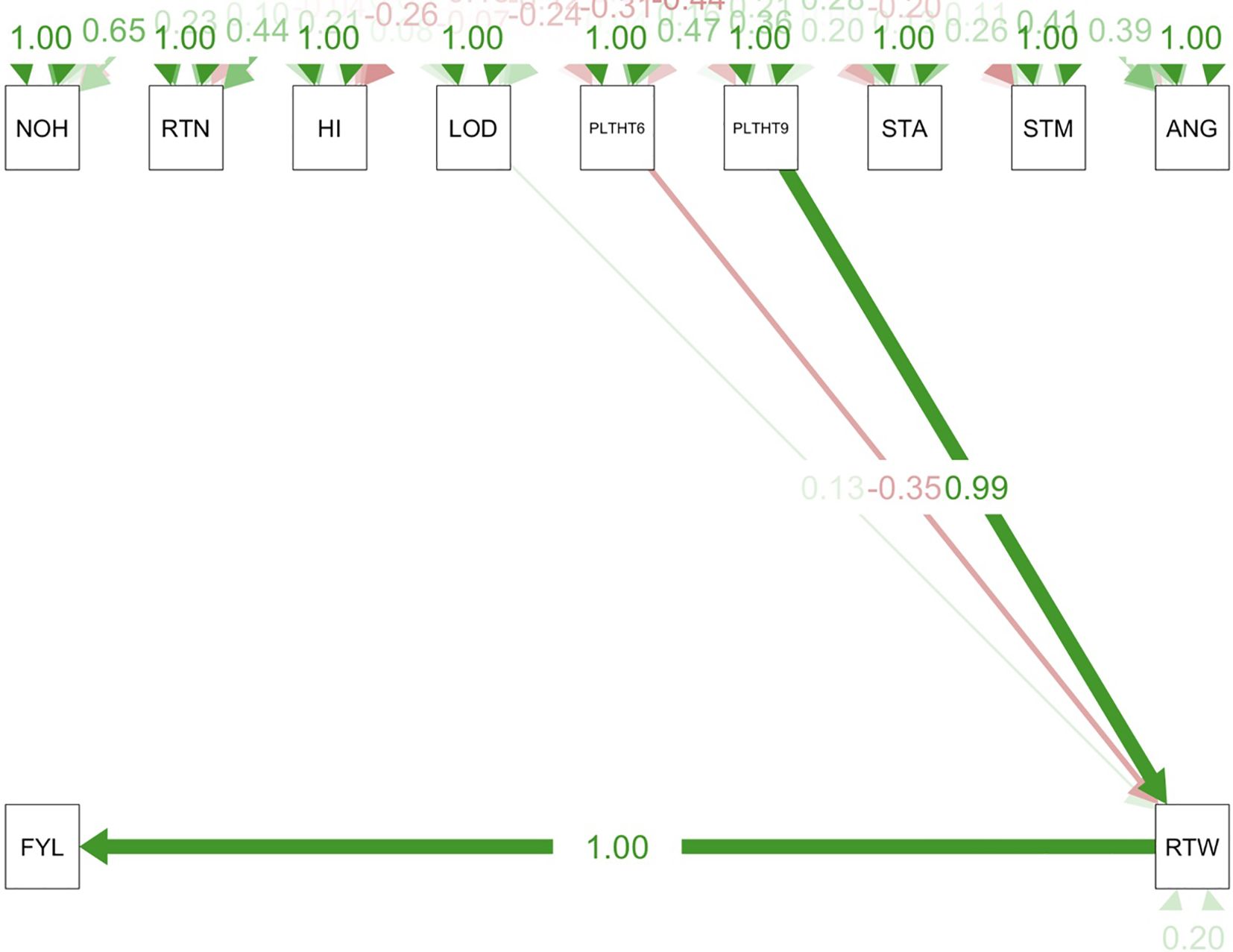Path coefficient analysis plot showing directional relationships between variables NOH, RTN, HI, LOD, PLTHT6, PLTHT9, STA, STM, ANG, FYL, and RTW. Various coefficients are marked, with arrows indicating strength and direction. Green arrows indicate positive relationships, red arrows indicate negative relationships, with notable weights such as 1.00 and -0.35.
