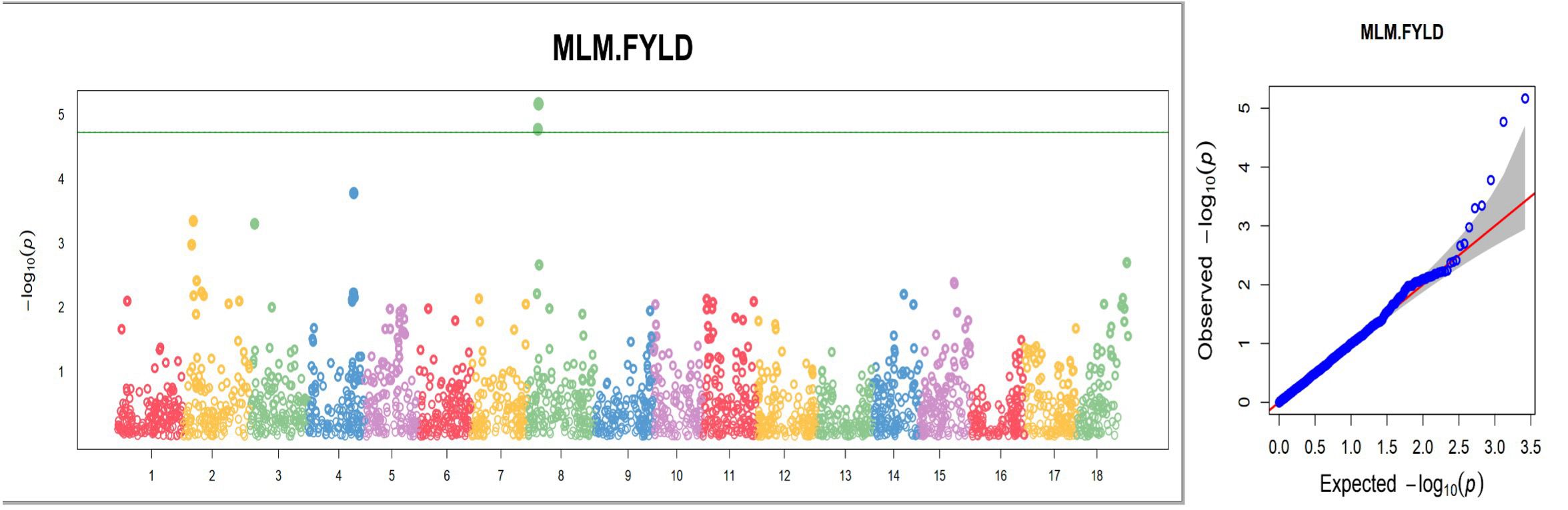 Manhattan plot and Q-Q plot for MLM.FYLD analysis are shown. The Manhattan plot on the left depicts a range of p-values with colorful data points distributed across the x-axis, with a horizontal green line highlighting a threshold. The Q-Q plot on the right shows observed versus expected p-values, with data points following the red line except for some deviations at the top.