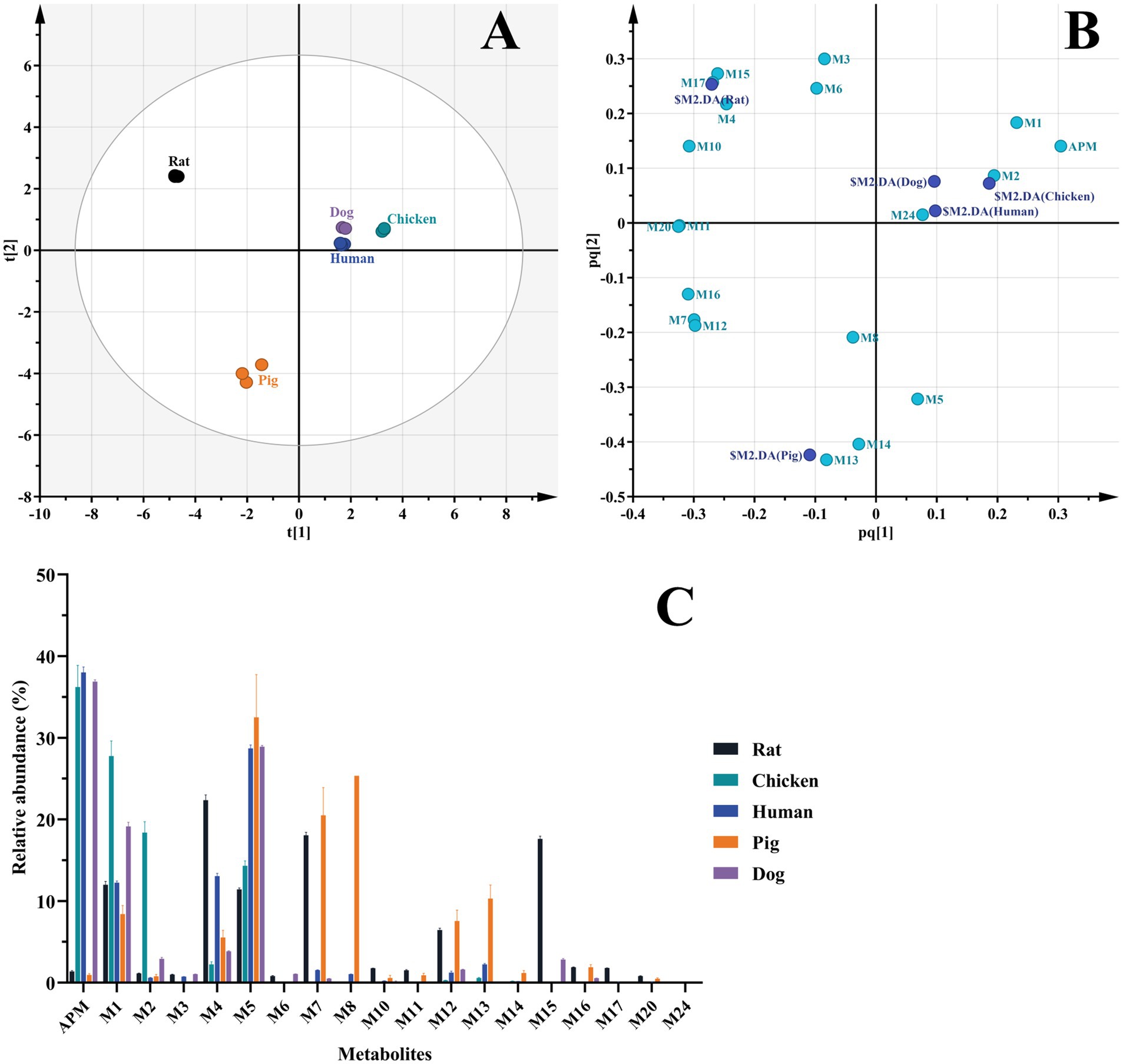 Panel A shows a scatter plot of samples from different species, labeled as Rat, Dog, Chicken, Pig, and Human. Panel B depicts a scatter plot with labeled metabolites across species. Panel C presents a bar graph of metabolite abundance percentages for each species, with a key indicating different colors for Rat, Chicken, Human, Pig, and Dog.