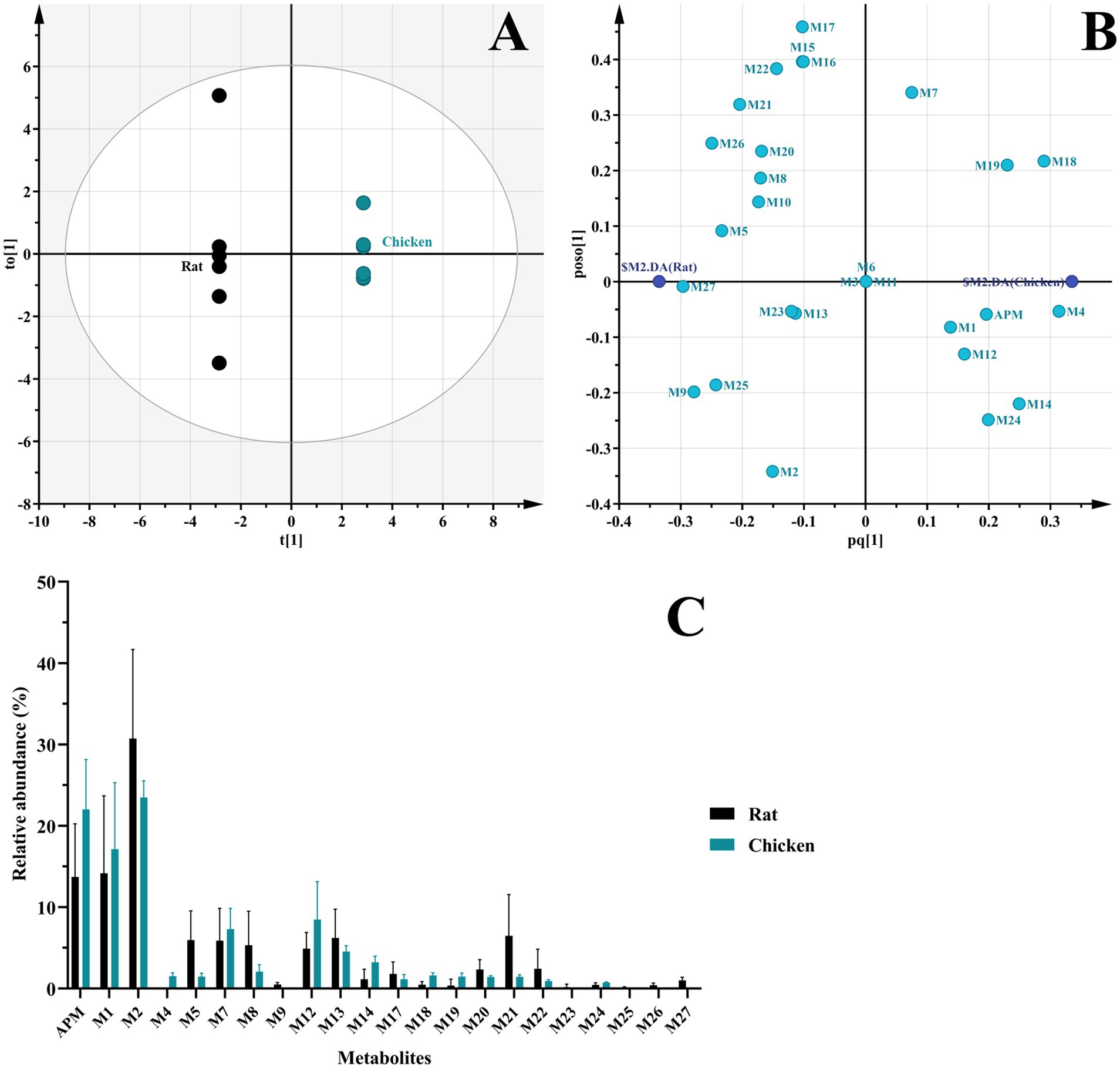 A set of three graphs analyzing metabolites in rats and chickens. Graph A shows a scatter plot of samples, with rat samples clustered on the left and chicken samples on the right. Graph B is a loading plot displaying various metabolites labeled from M2 to M27, indicating their contribution to the separation of the groups. Graph C is a bar chart comparing the relative abundance of metabolites between rats and chickens, with different metabolites on the x-axis and abundance percentage on the y-axis. Rats are represented in black, and chickens in teal.