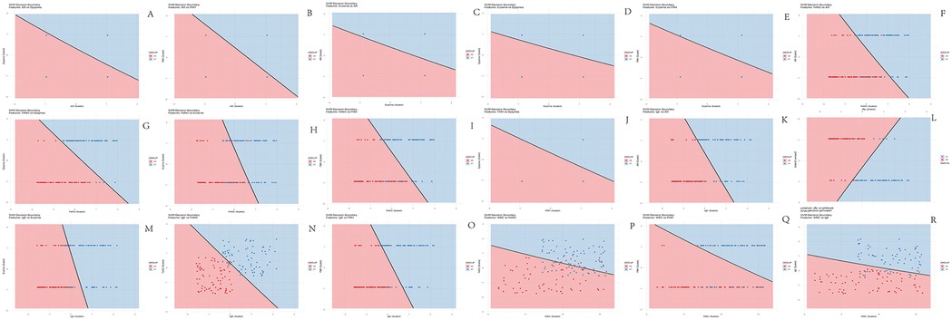 Sixteen scatter plots displaying SVM decision boundaries for various feature comparisons, labeled A to R. Each plot shows a division between two groups indicated by red and blue shading. Axes represent different feature channels, such as AVHRR, Paxinos-Palmer, Exocomet, etc. Group distributions are depicted with colored markers aligned around decision lines, highlighting classification boundaries in bi-dimensional feature space.