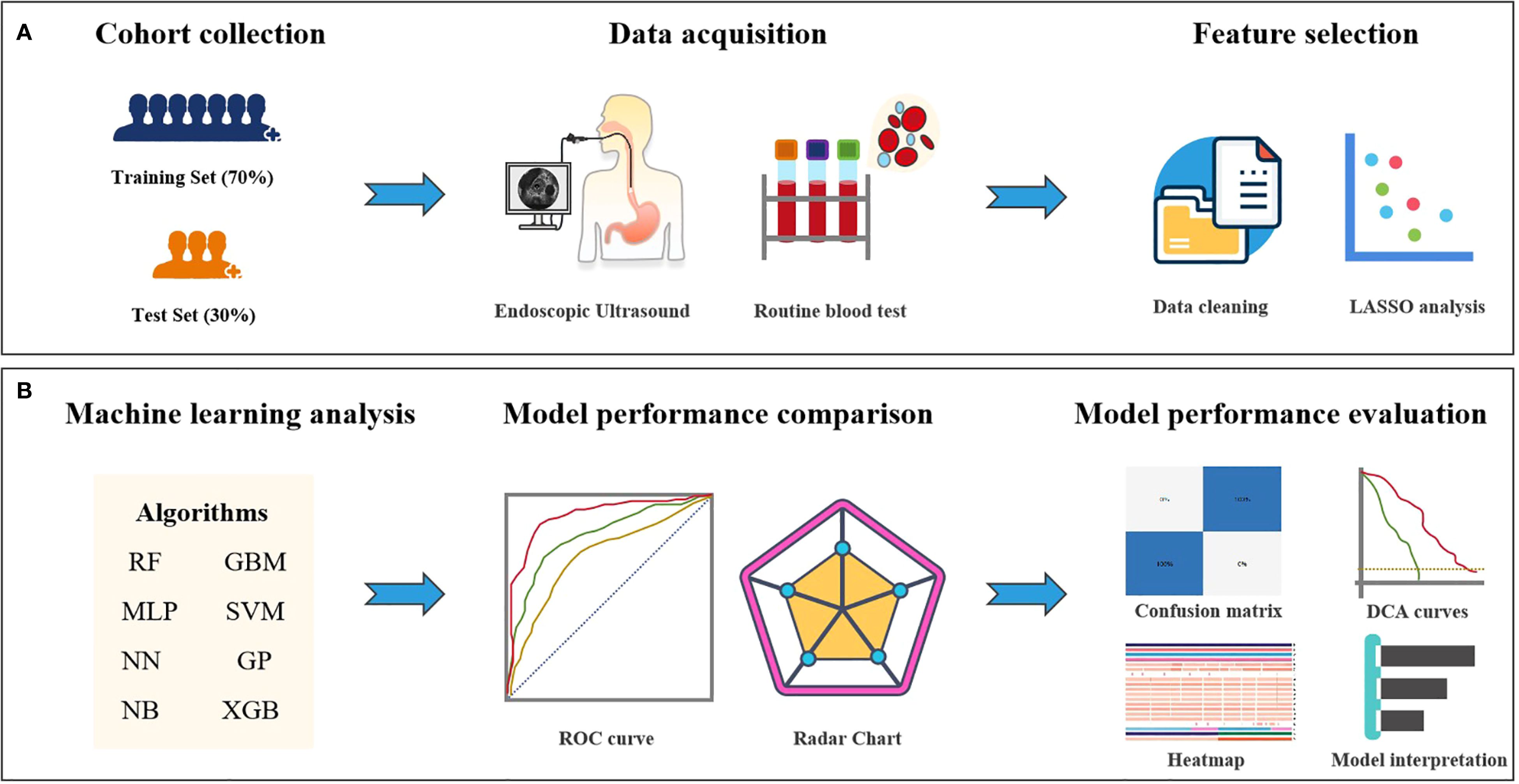 Flowchart illustrating a study process: Panel A depicts cohort collection, data acquisition, and feature selection with training (70%) and test (30%) sets, endoscopic ultrasound, blood tests, data cleaning, and LASSO analysis. Panel B covers machine learning analysis, model performance comparison, and evaluation, listing algorithms (RF, GBM, MLP, SVM, NN, GP, NB, XGB), using ROC curve, radar chart, confusion matrix, DCA curves, heatmap, and model interpretation.