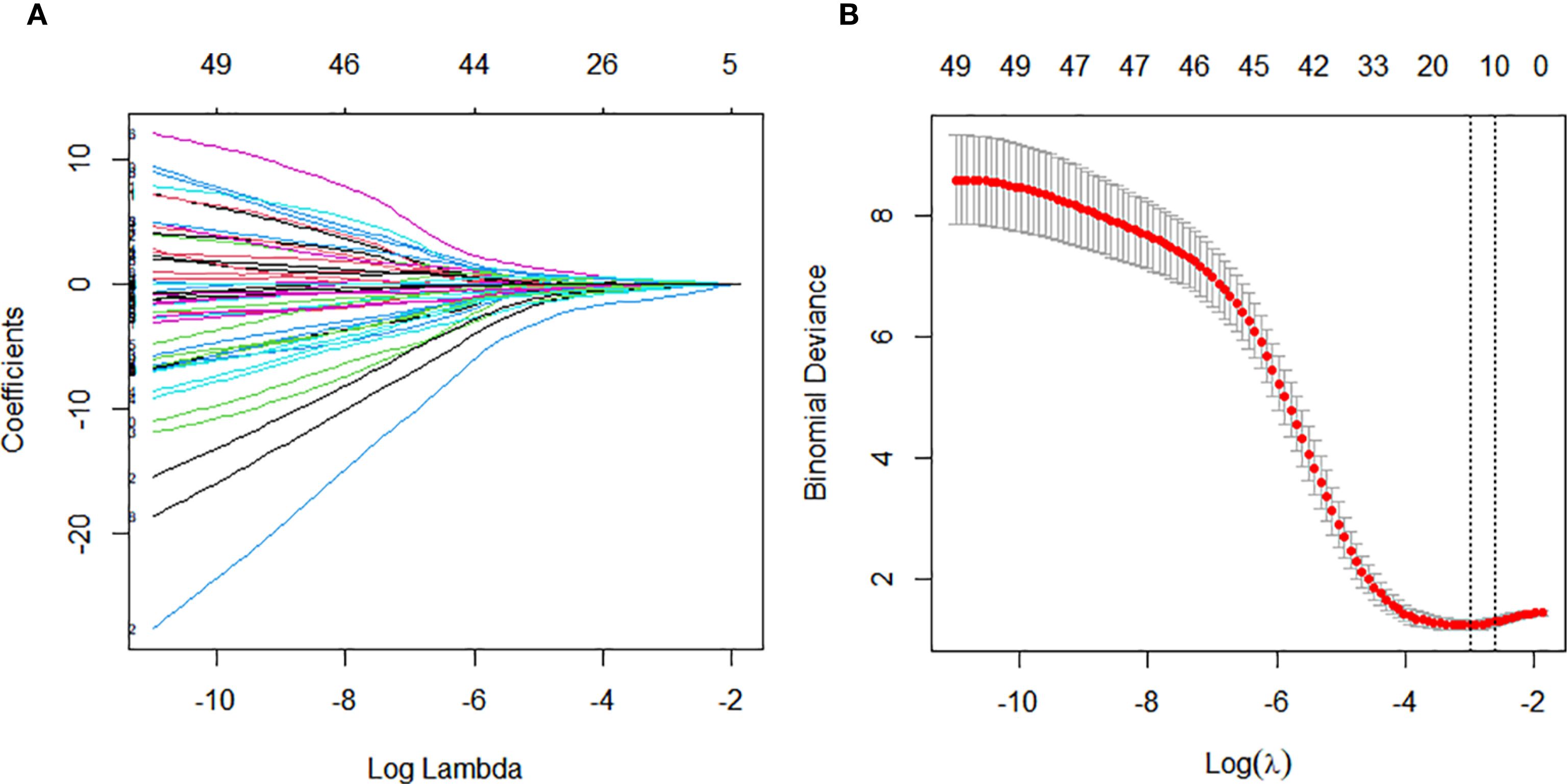 Plot A shows a LASSO coefficient path with coefficients on the y-axis and log lambda on the x-axis. Multiple colored lines converge as lambda increases. Plot B displays binomial deviance on the y-axis against log lambda on the x-axis. A red line with error bars decreases sharply and levels off, indicating model performance.
